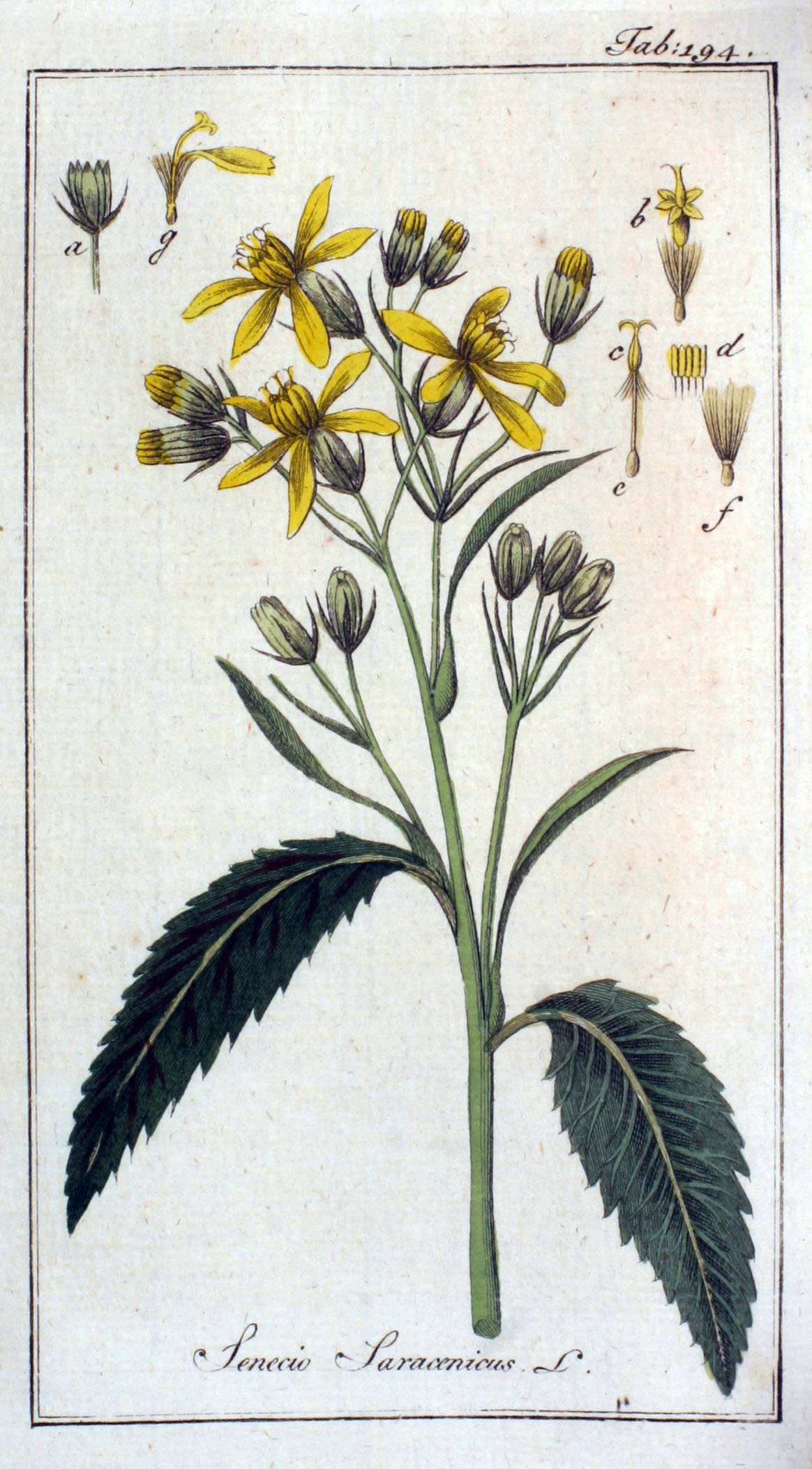 no full size  illustration available (3a)