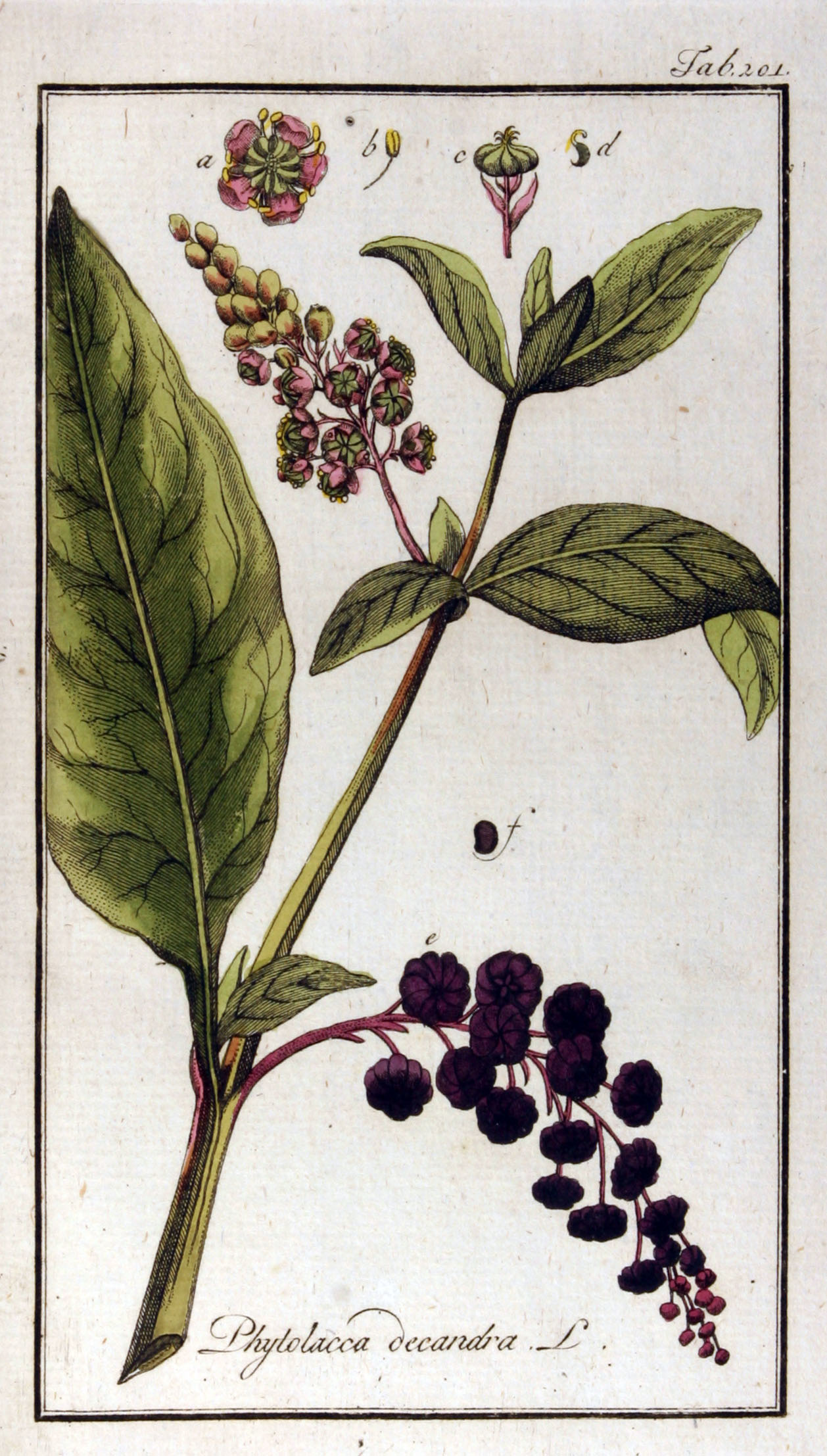 no full size  illustration available (3a)