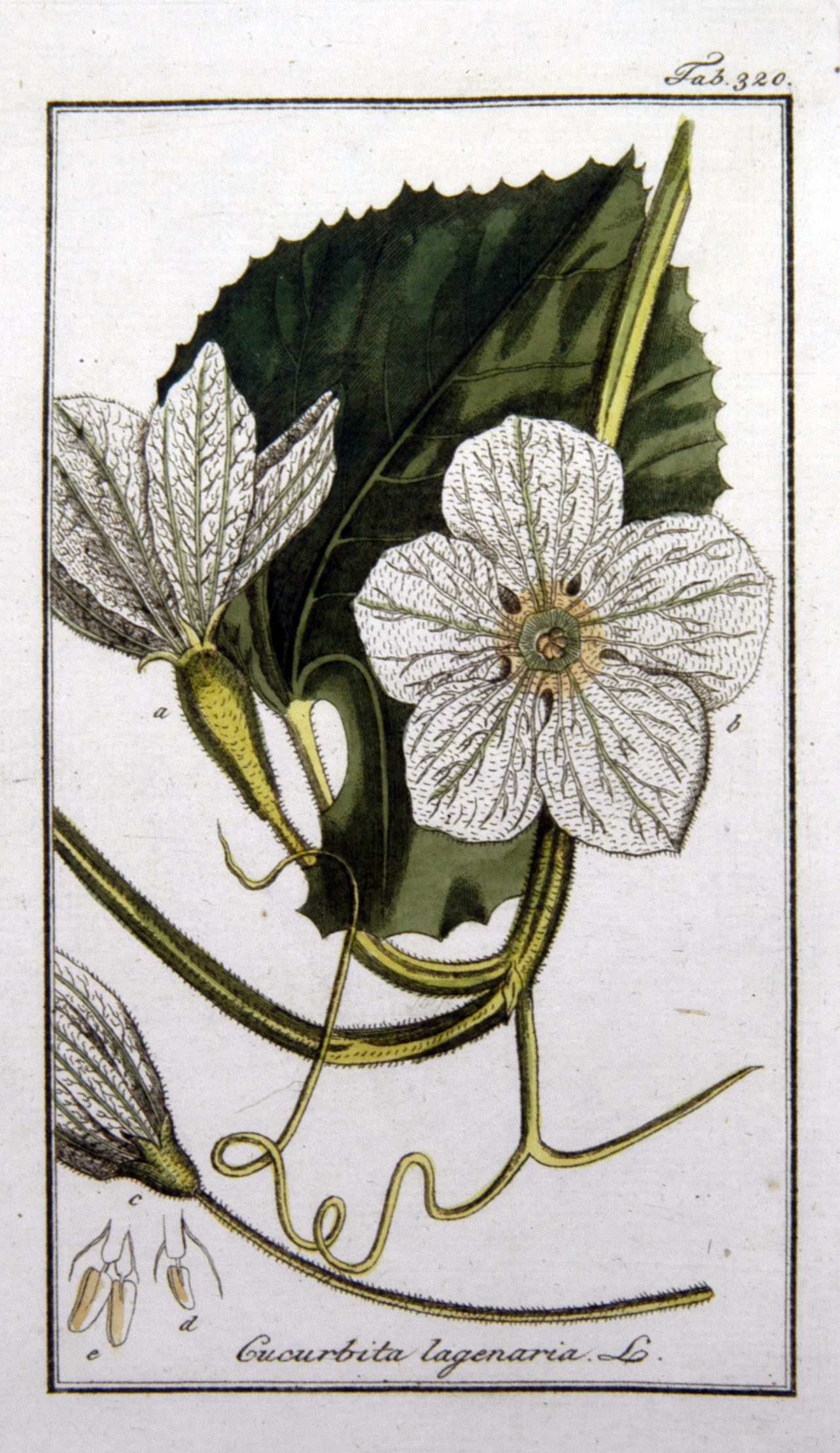 no full size  illustration available (3a)