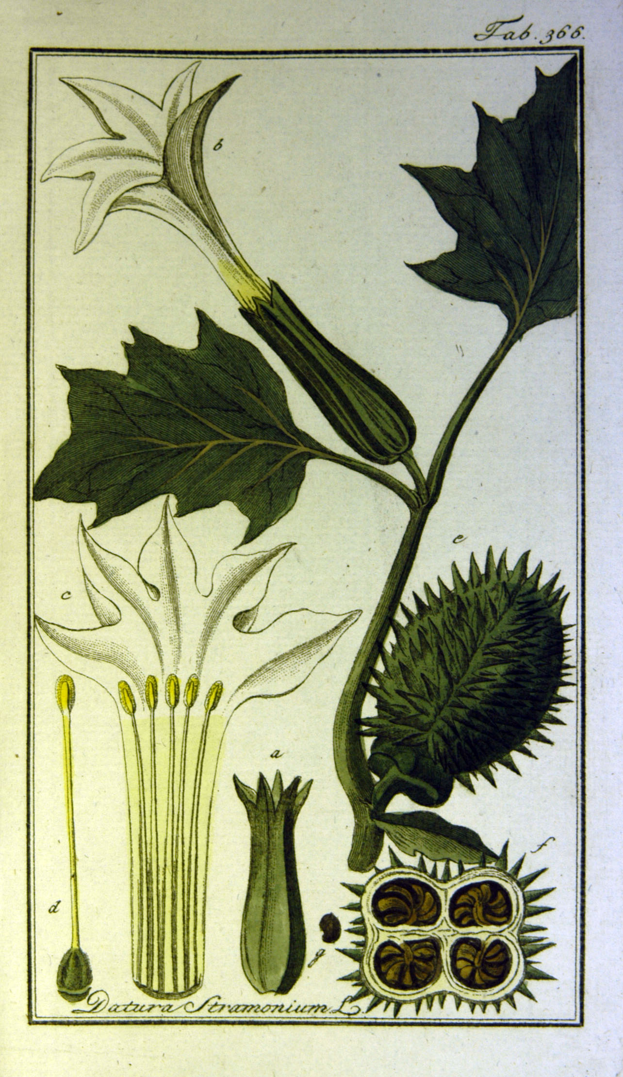 no full size  illustration available (3a)