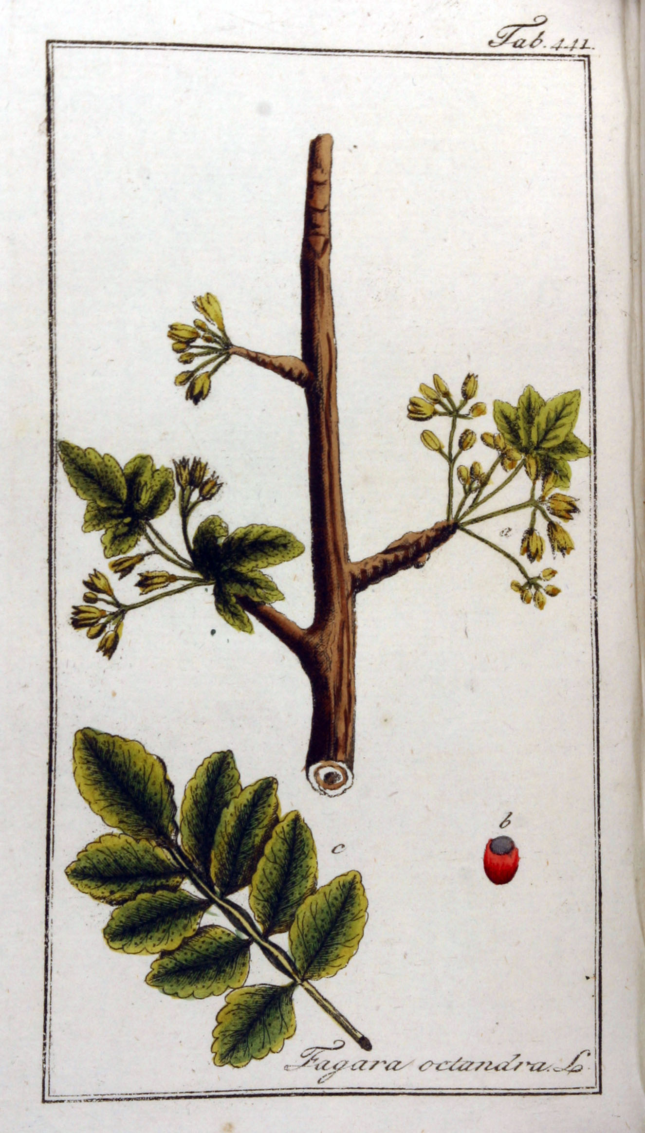 no full size  illustration available (3a)