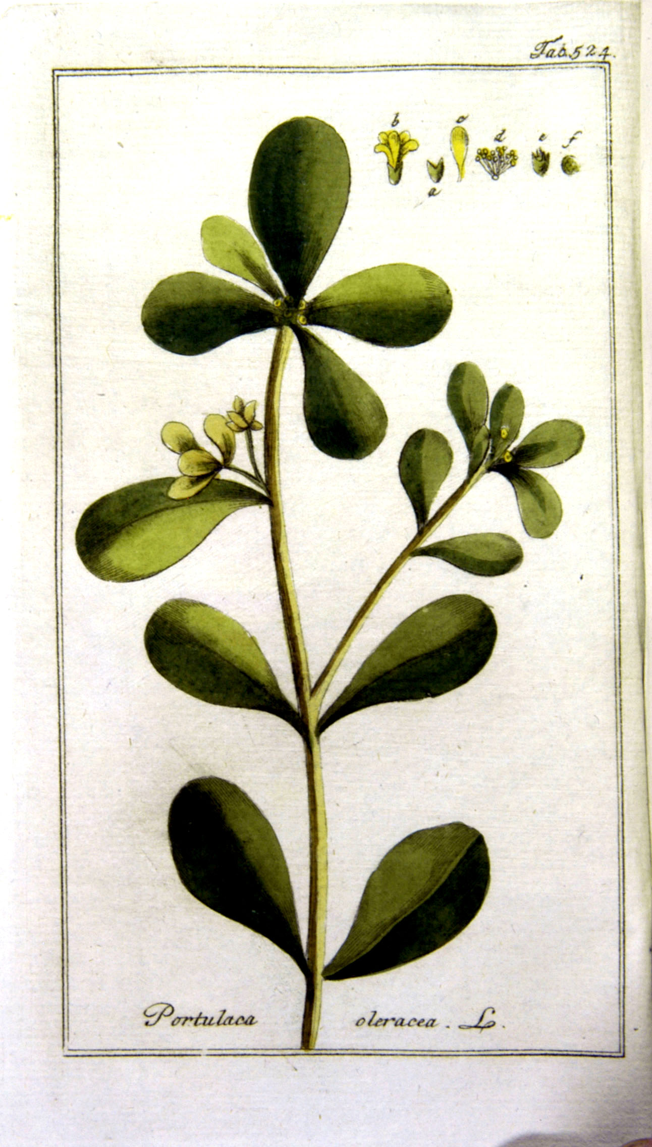 no full size  illustration available (3a)