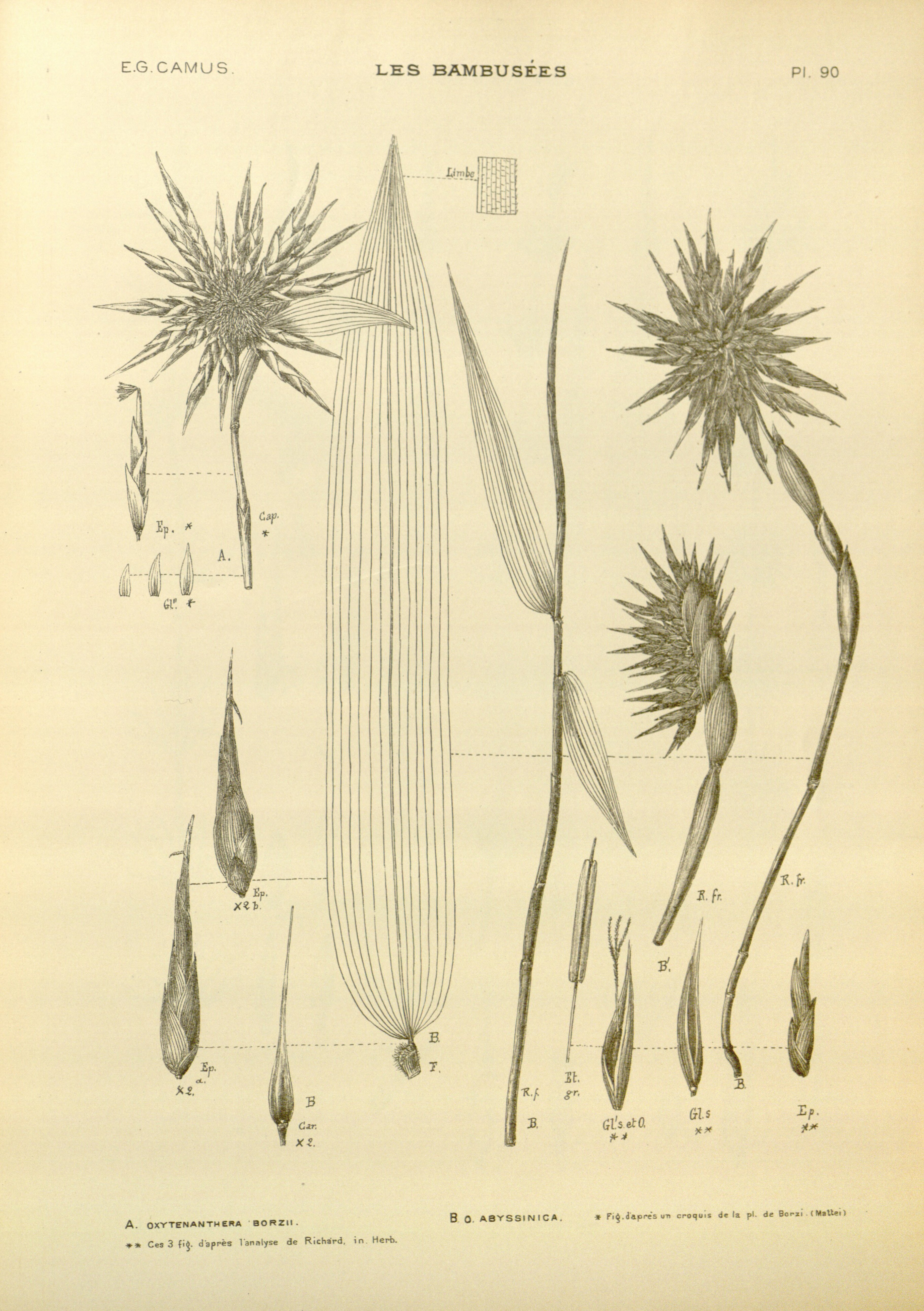 no full size  illustration available (3a)