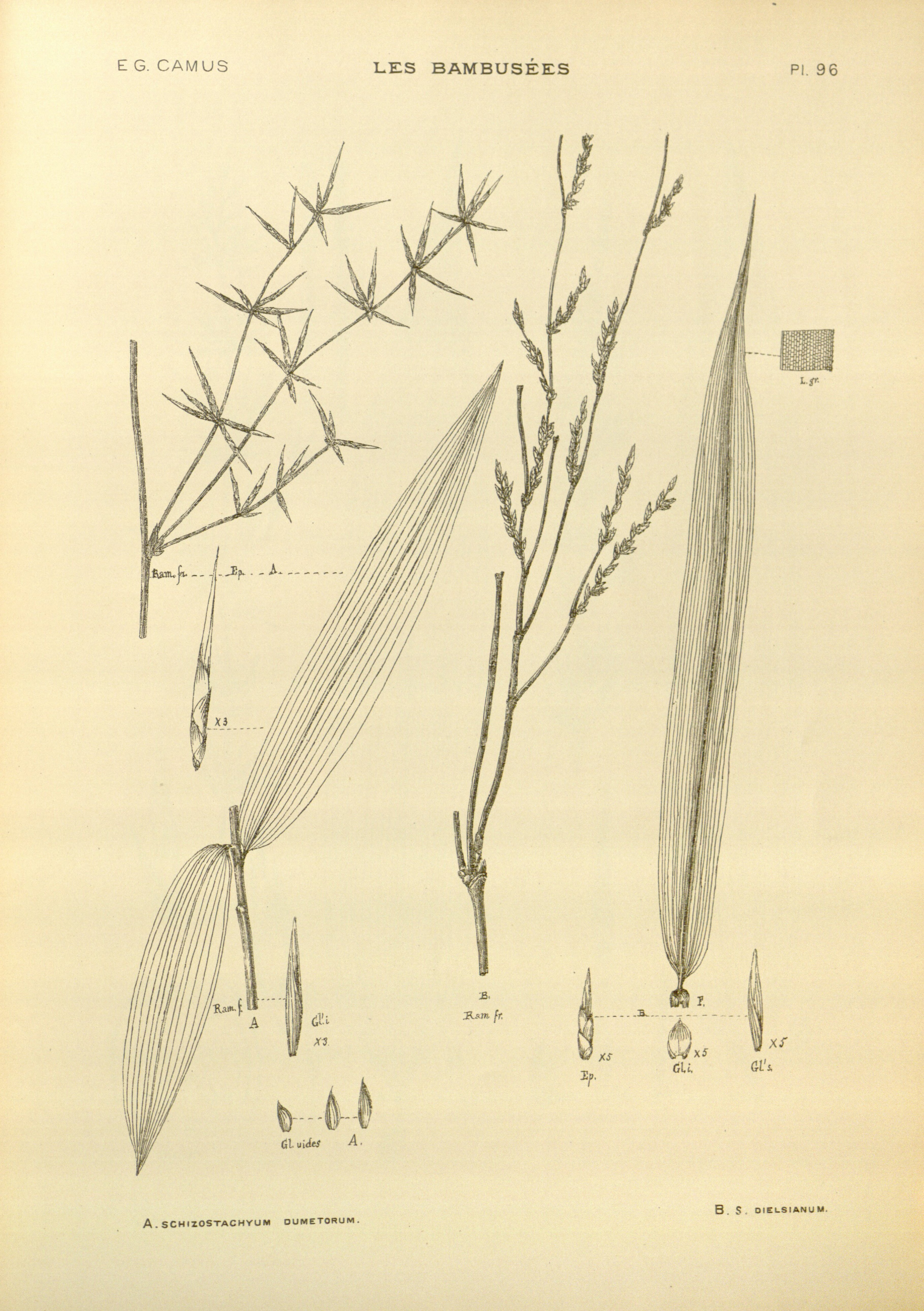 no full size  illustration available (3a)