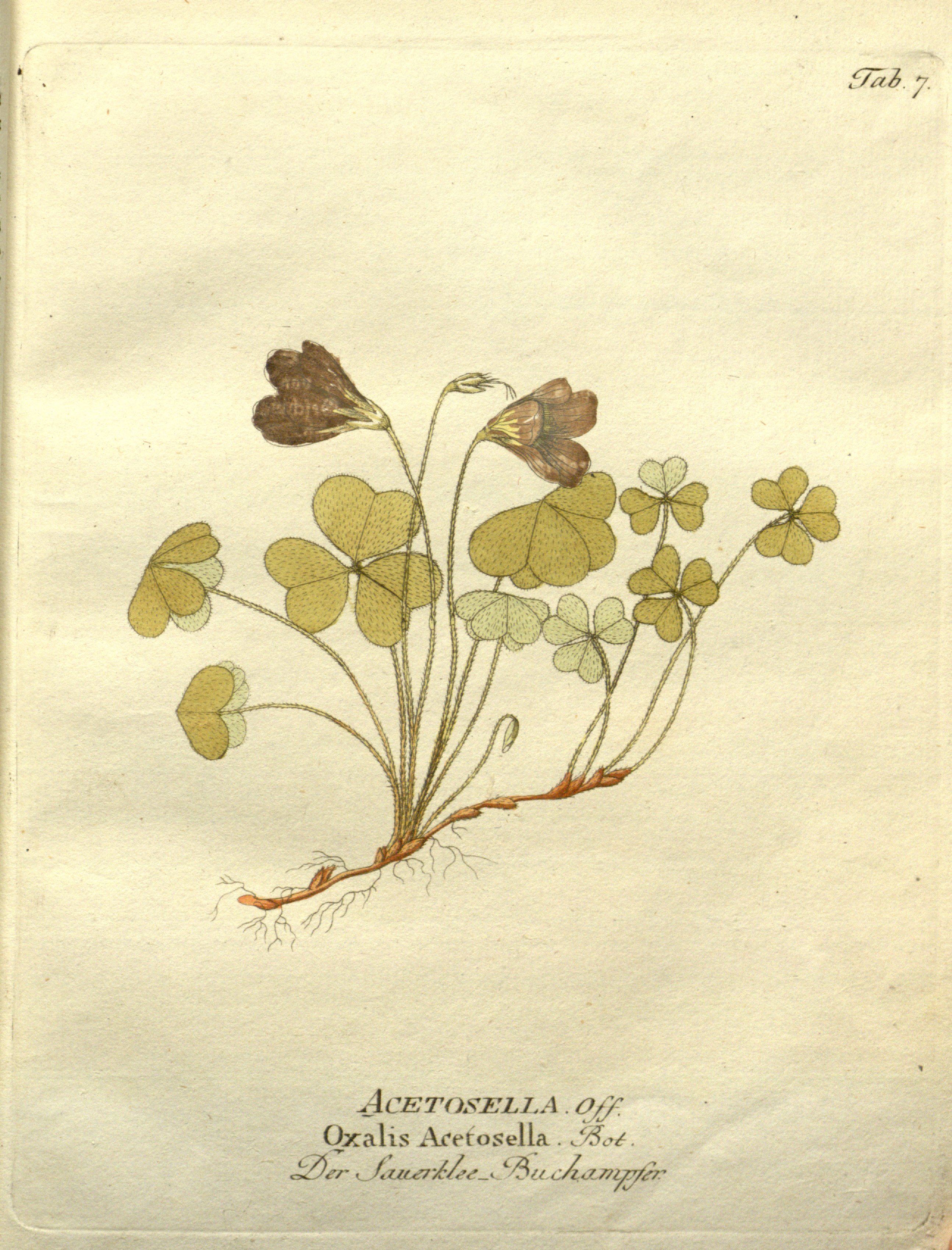 no full size  illustration available (3a)