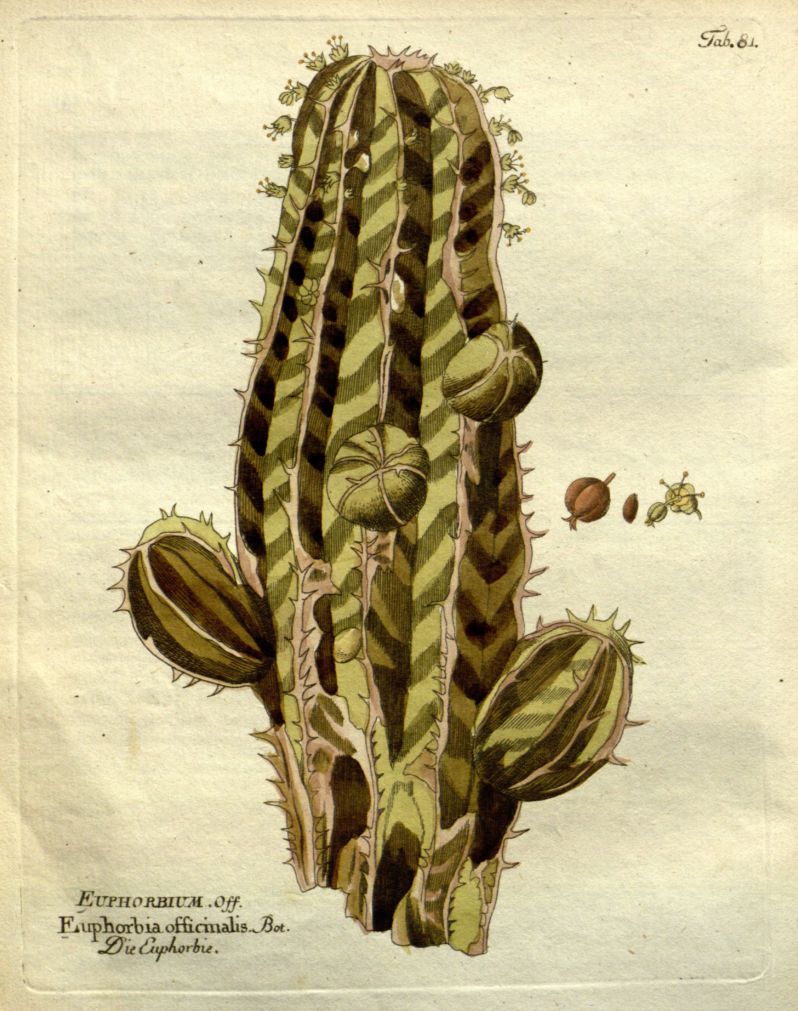 no full size  illustration available (3a)