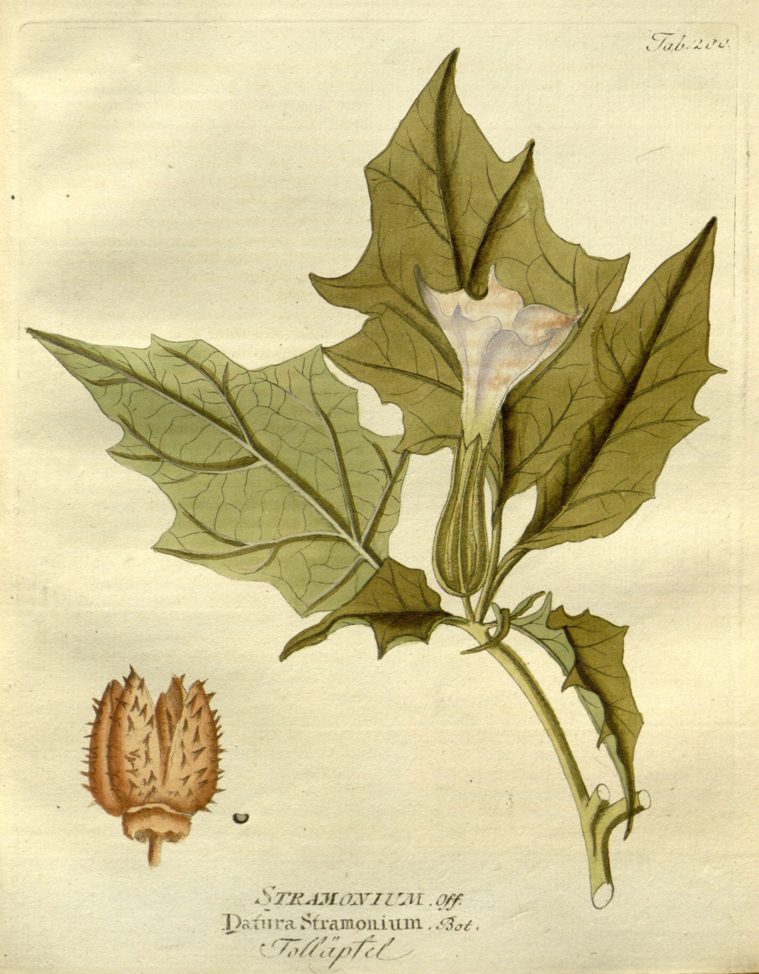 no full size  illustration available (3a)