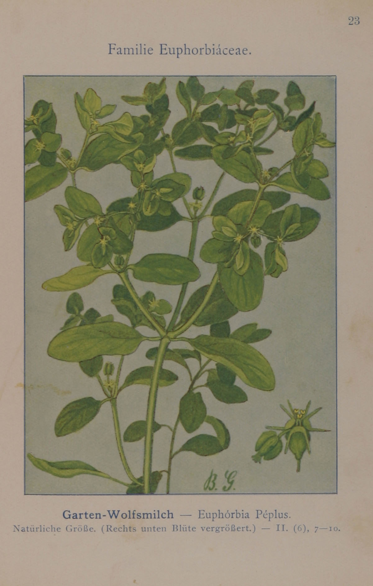 no full size  illustration available (3a)