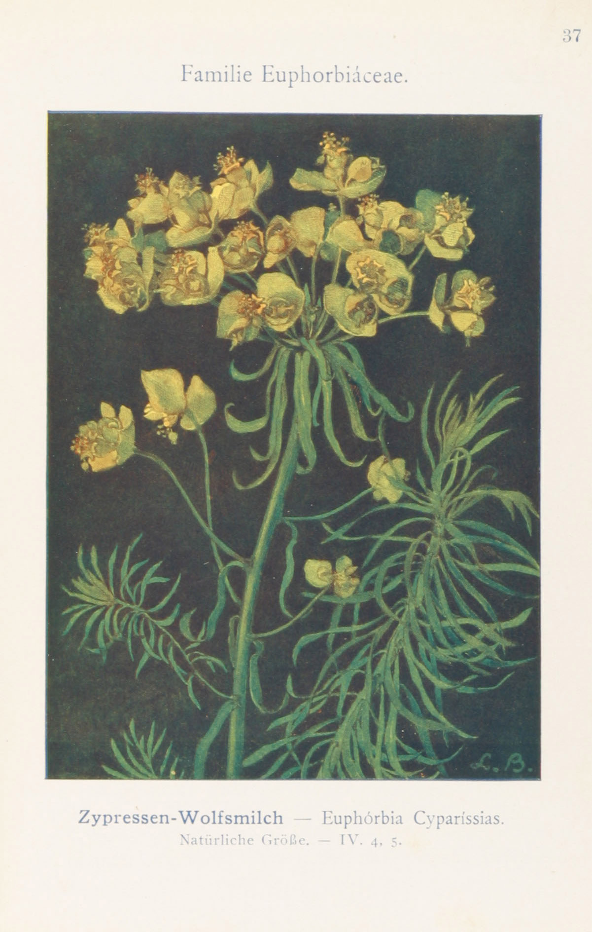 no full size  illustration available (3a)