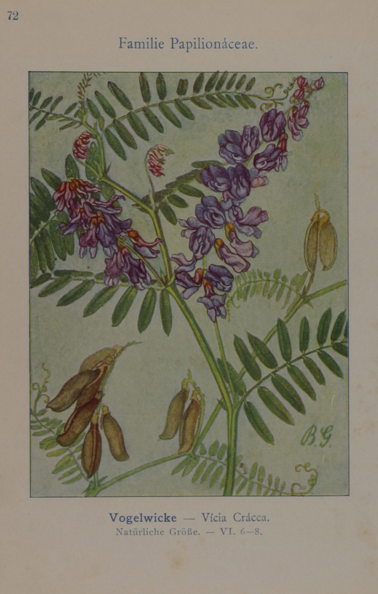 no full size  illustration available (3a)