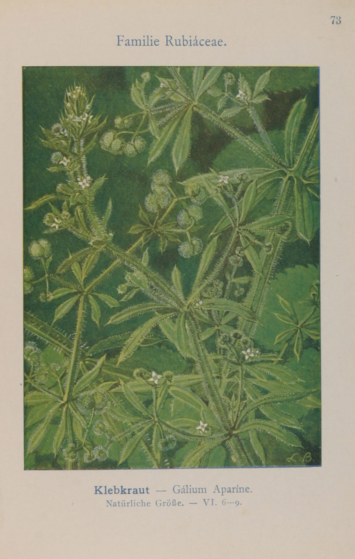 no full size  illustration available (3a)