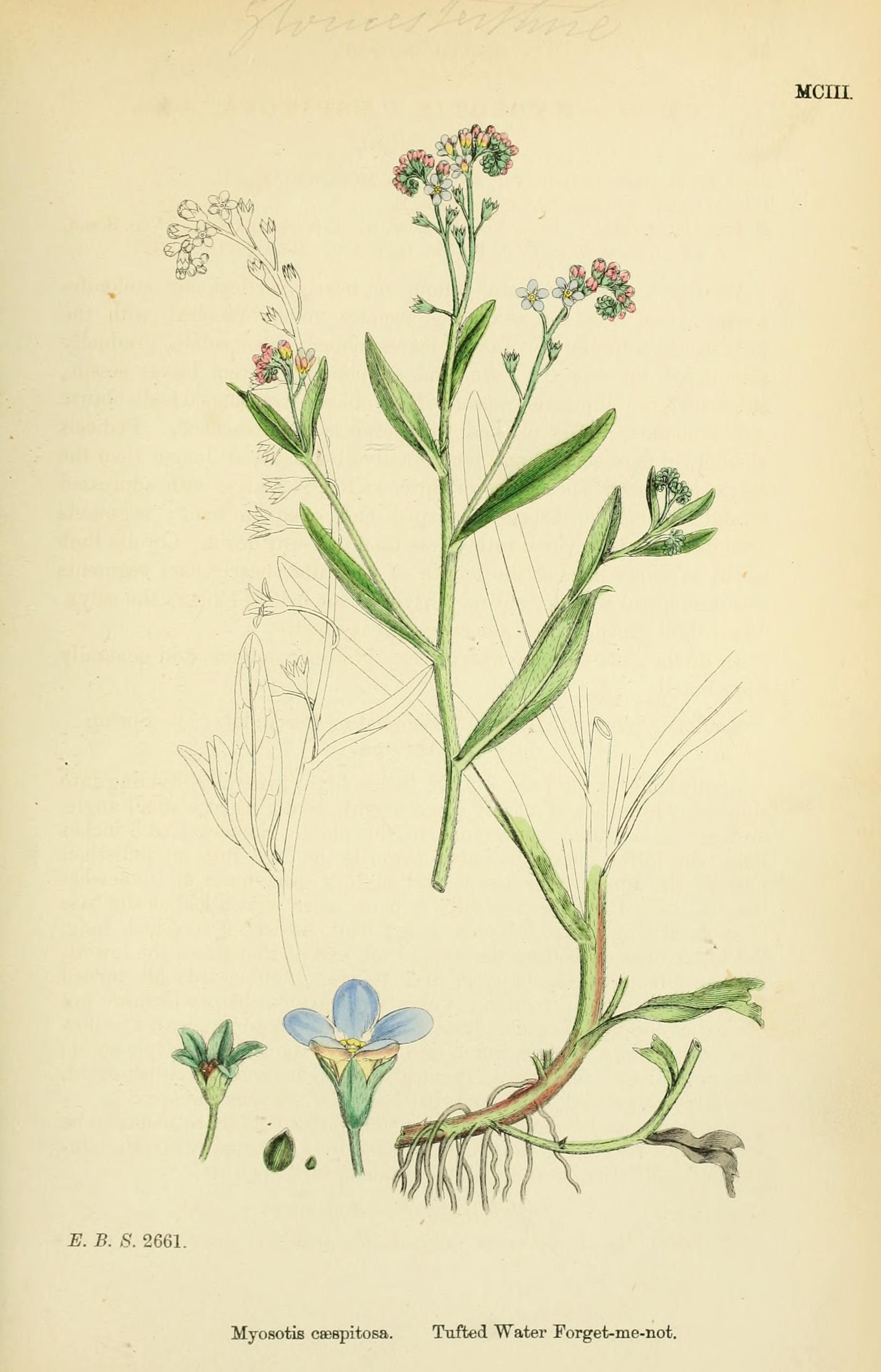 no full size  illustration available (3a)