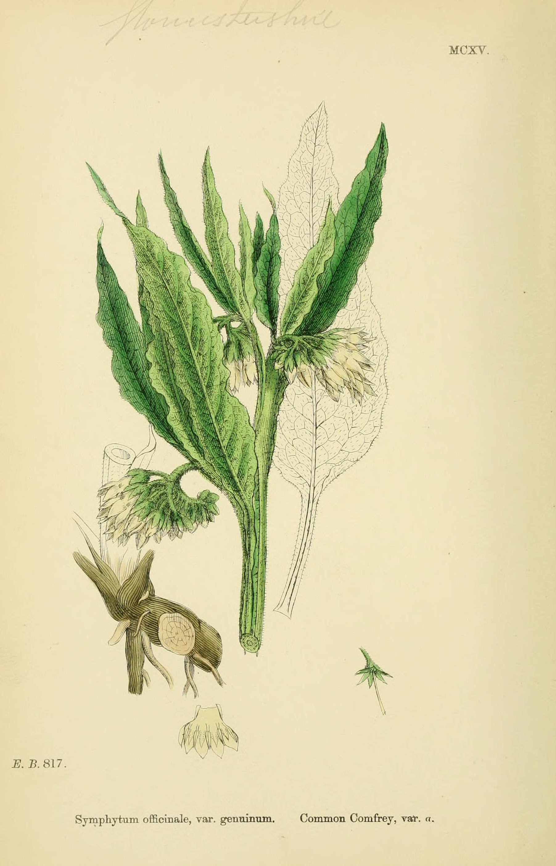 no full size  illustration available (3a)