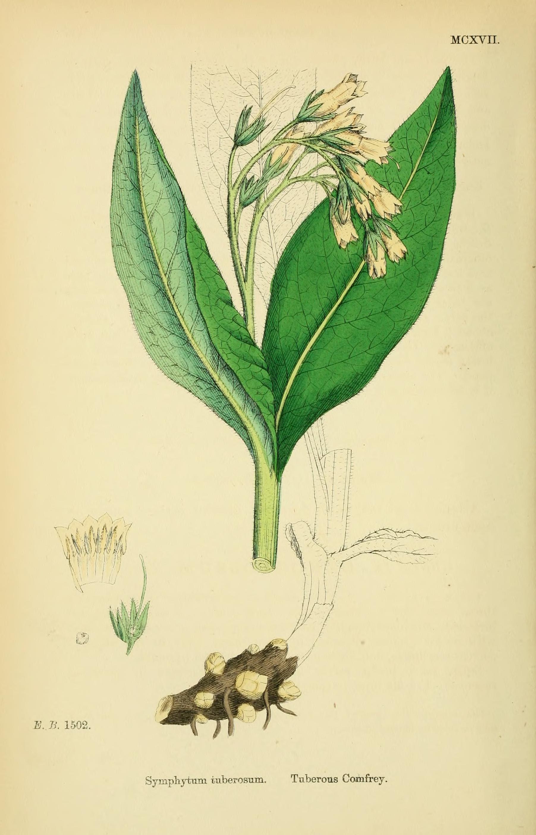 no full size  illustration available (3a)