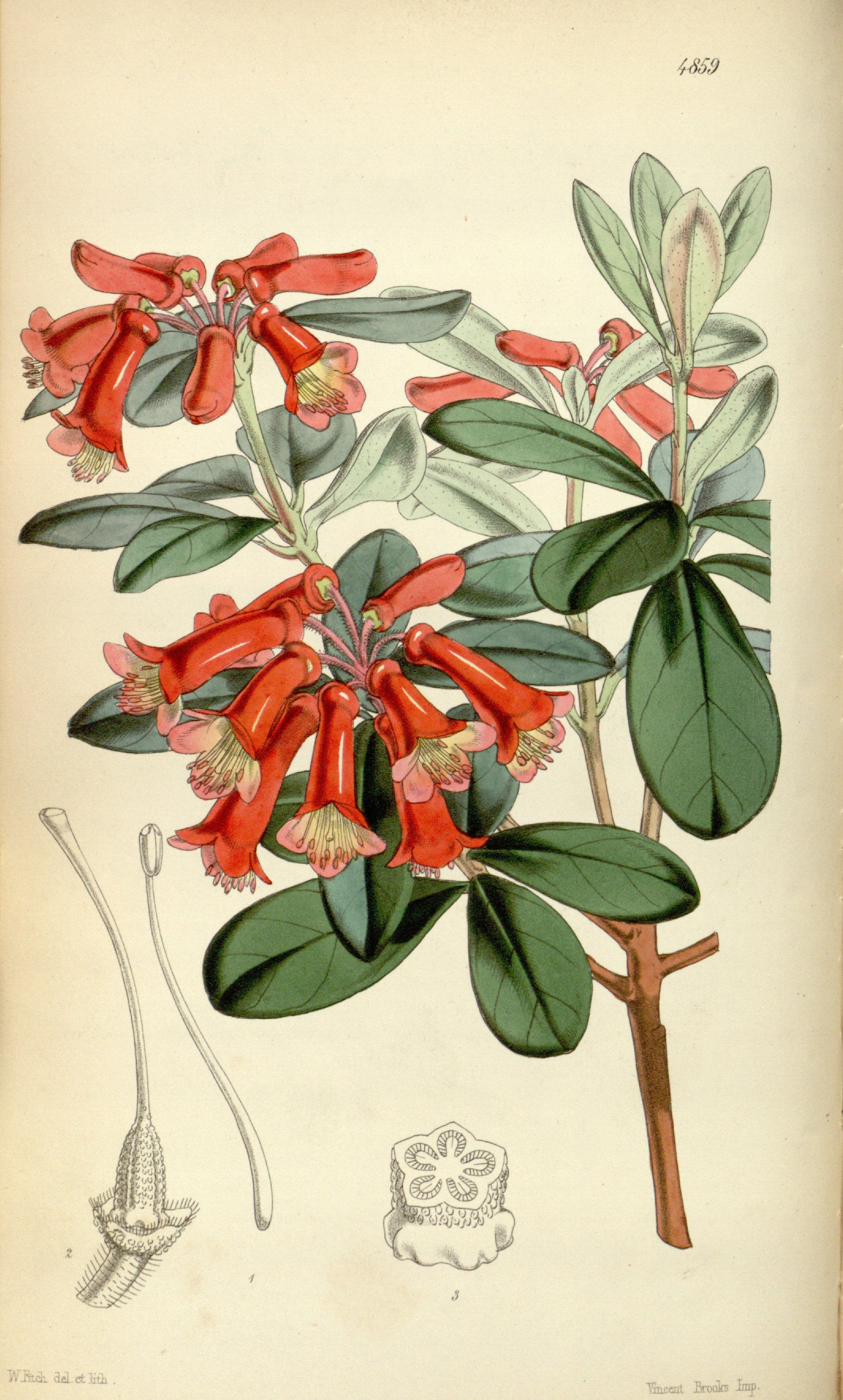 no full size  illustration available (3a)