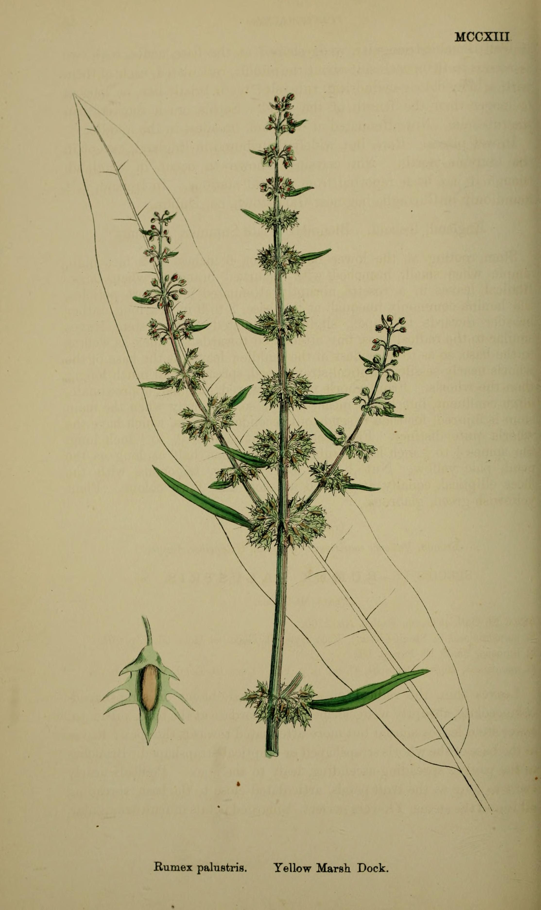 no full size  illustration available (3a)