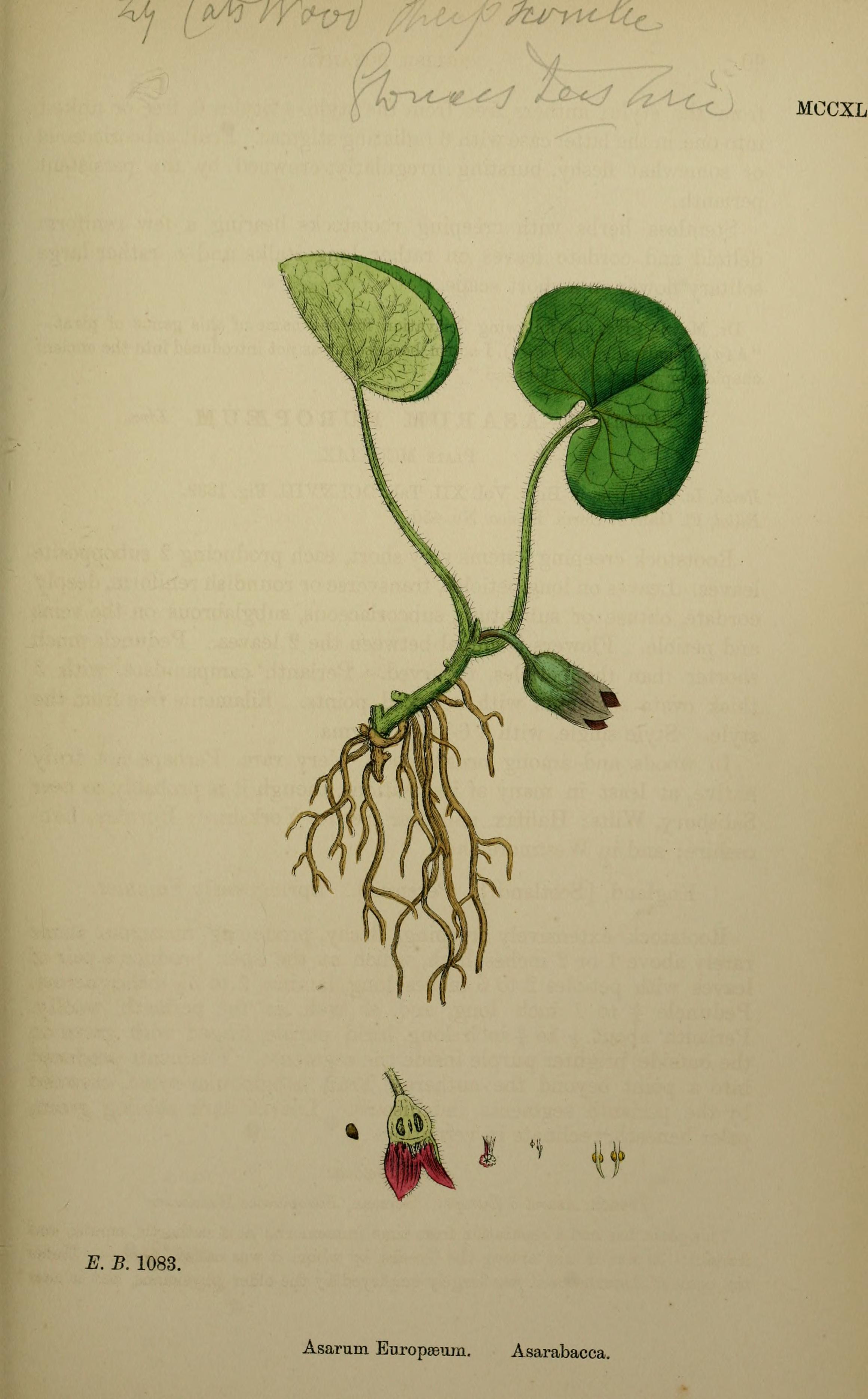 no full size  illustration available (3a)