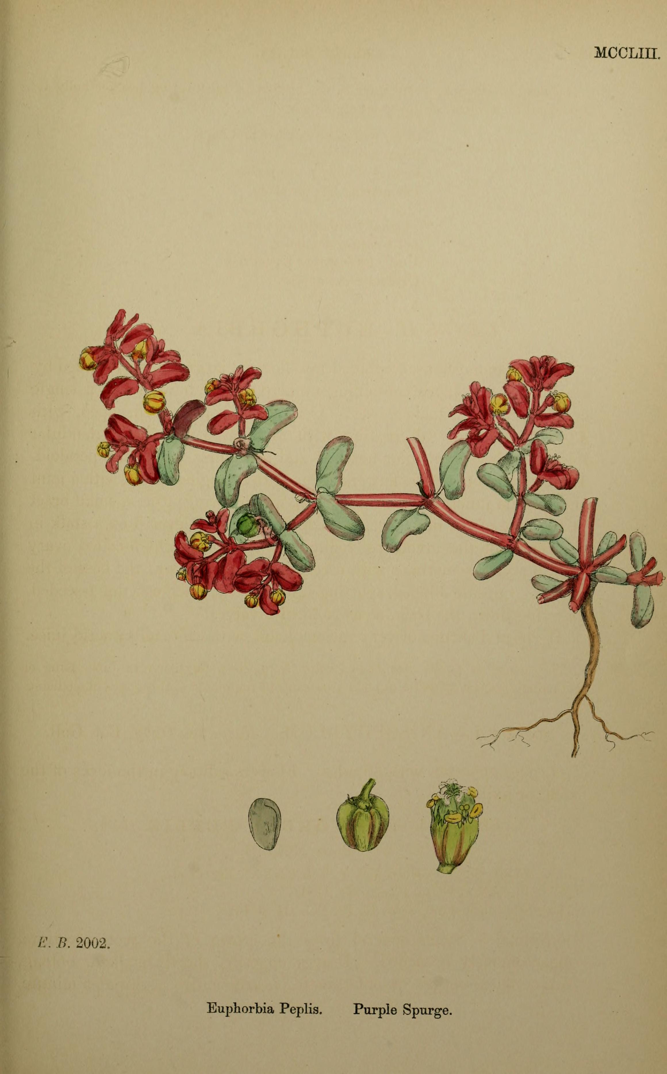 no full size  illustration available (3a)