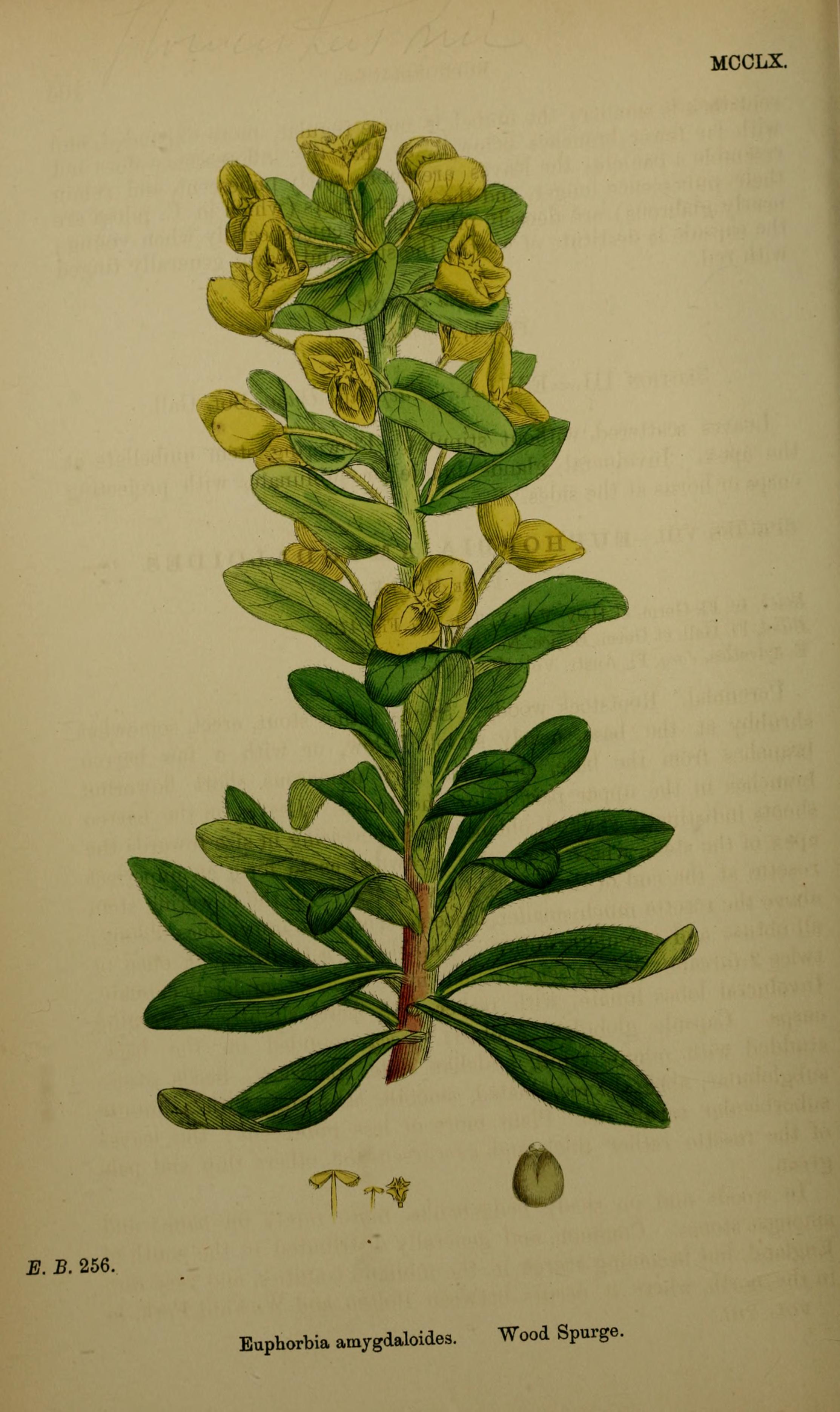 no full size  illustration available (3a)