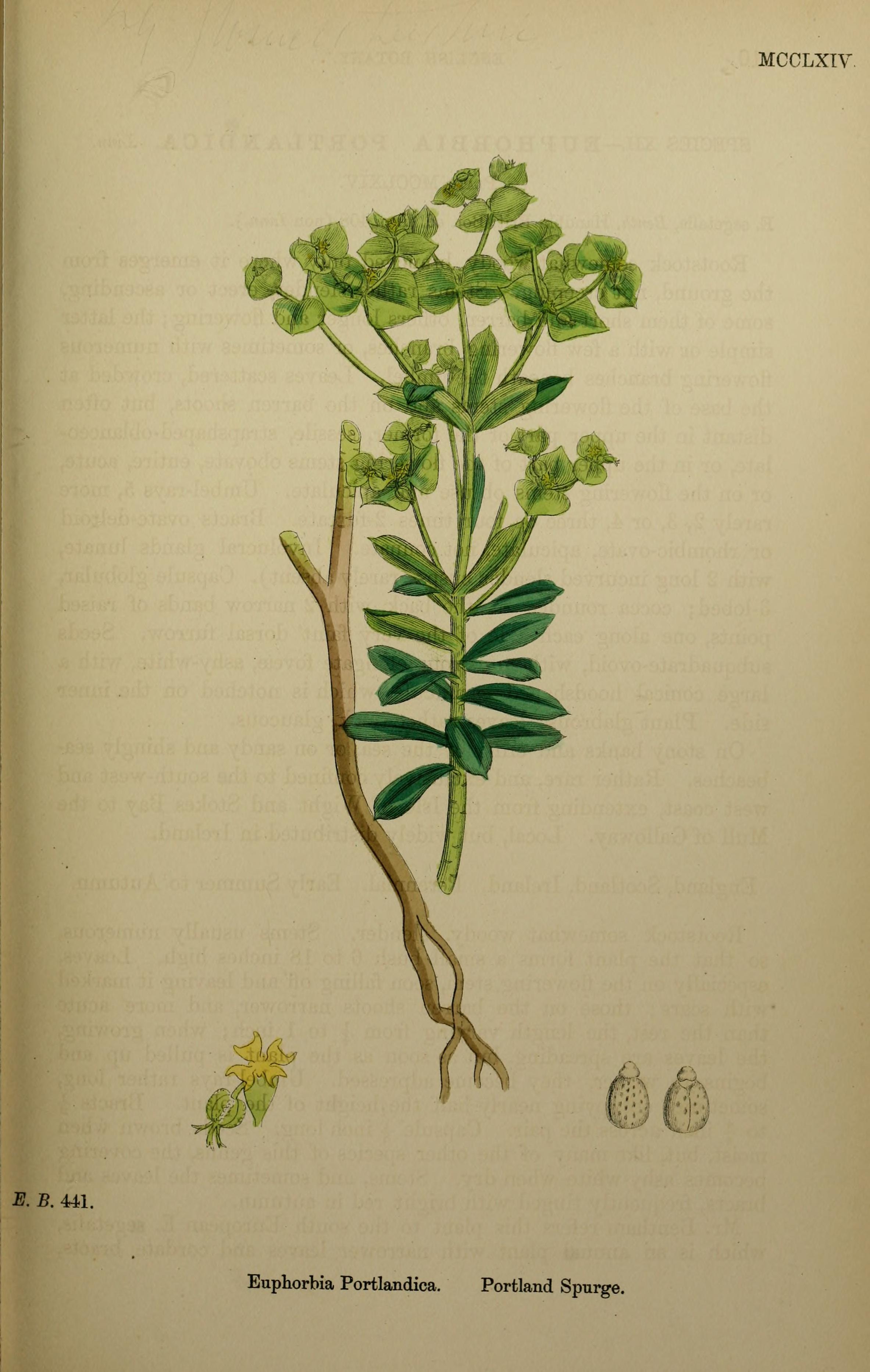 no full size  illustration available (3a)