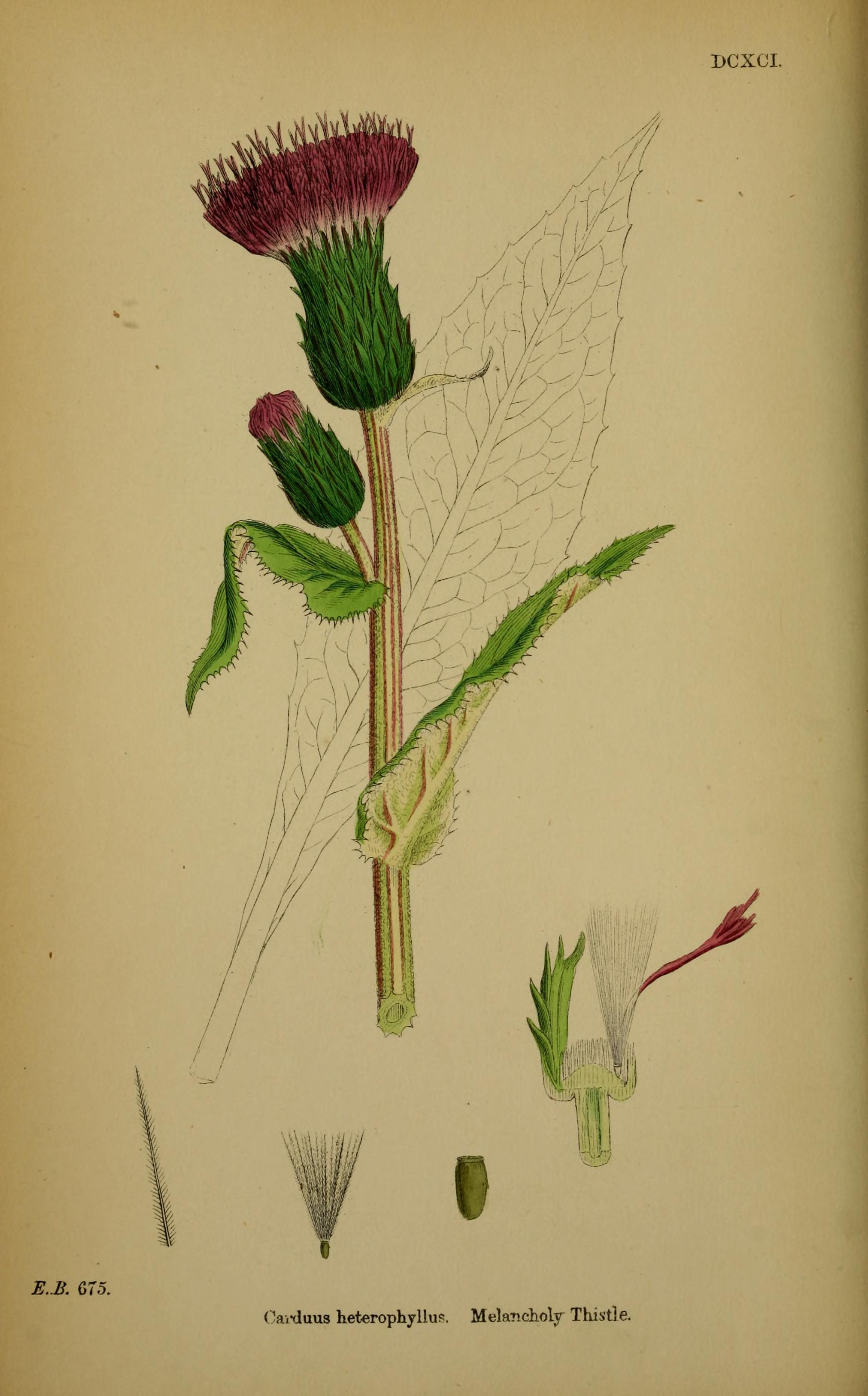 no full size  illustration available (3a)