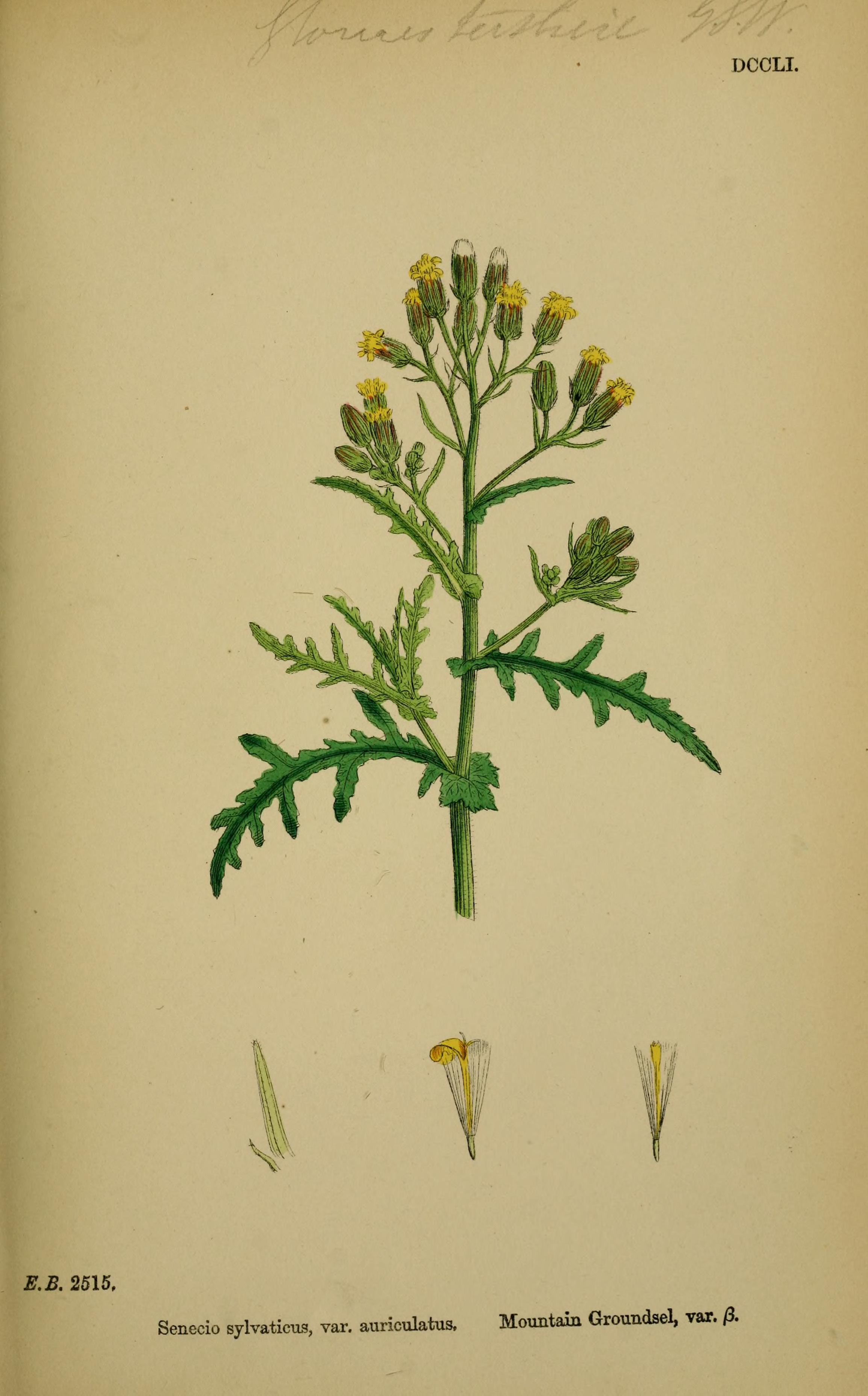 no full size  illustration available (3a)