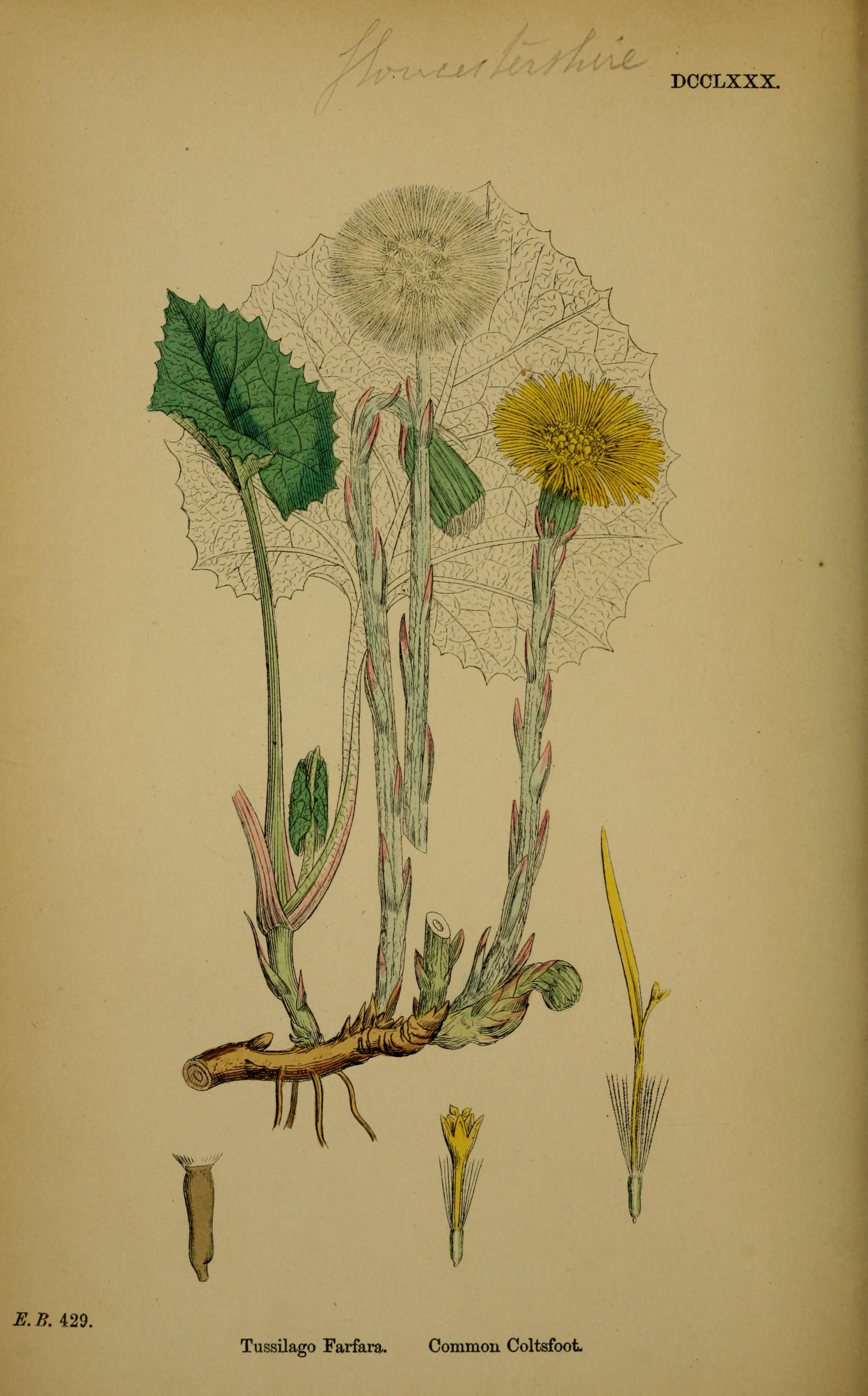 no full size  illustration available (3a)