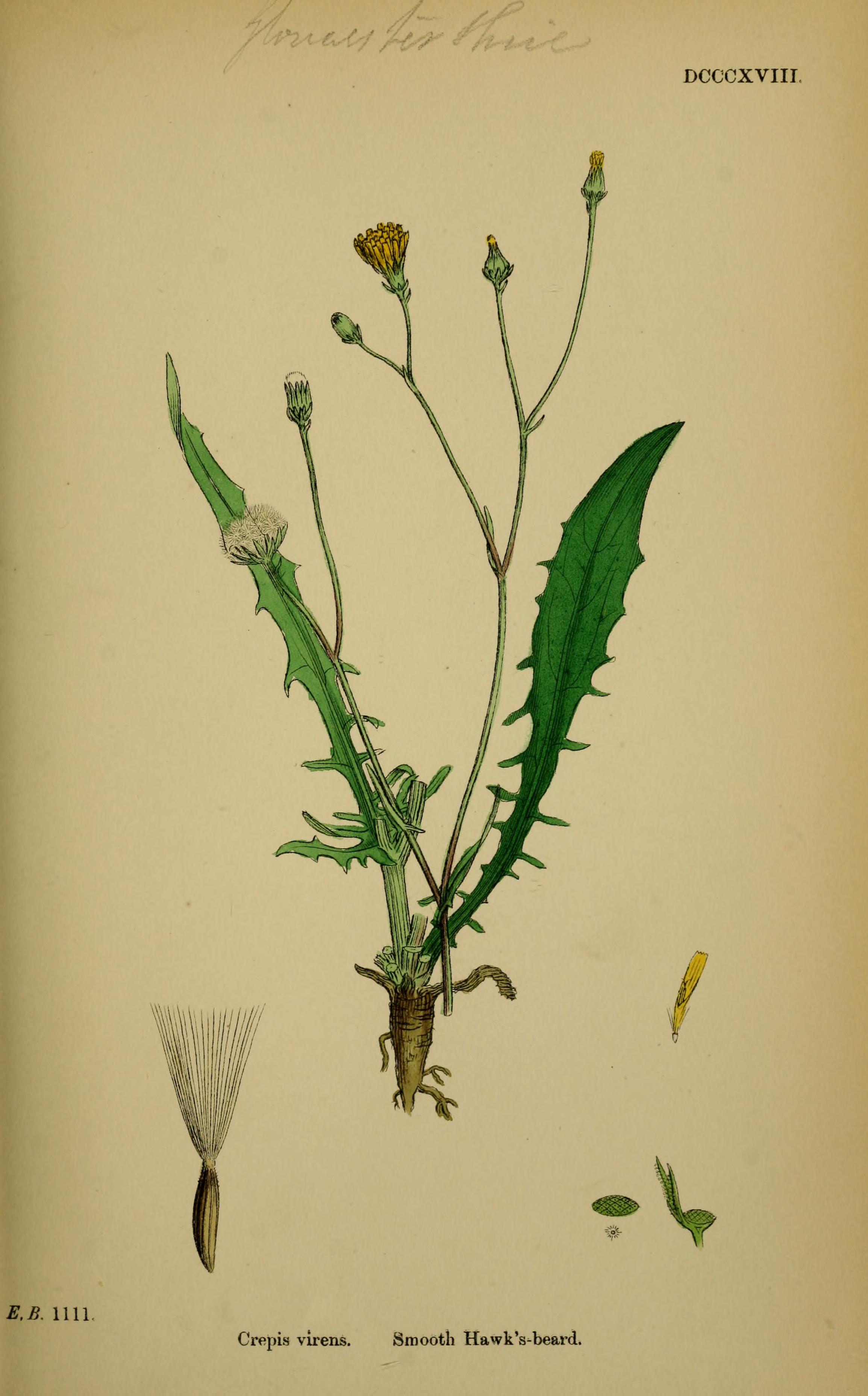 no full size  illustration available (3a)