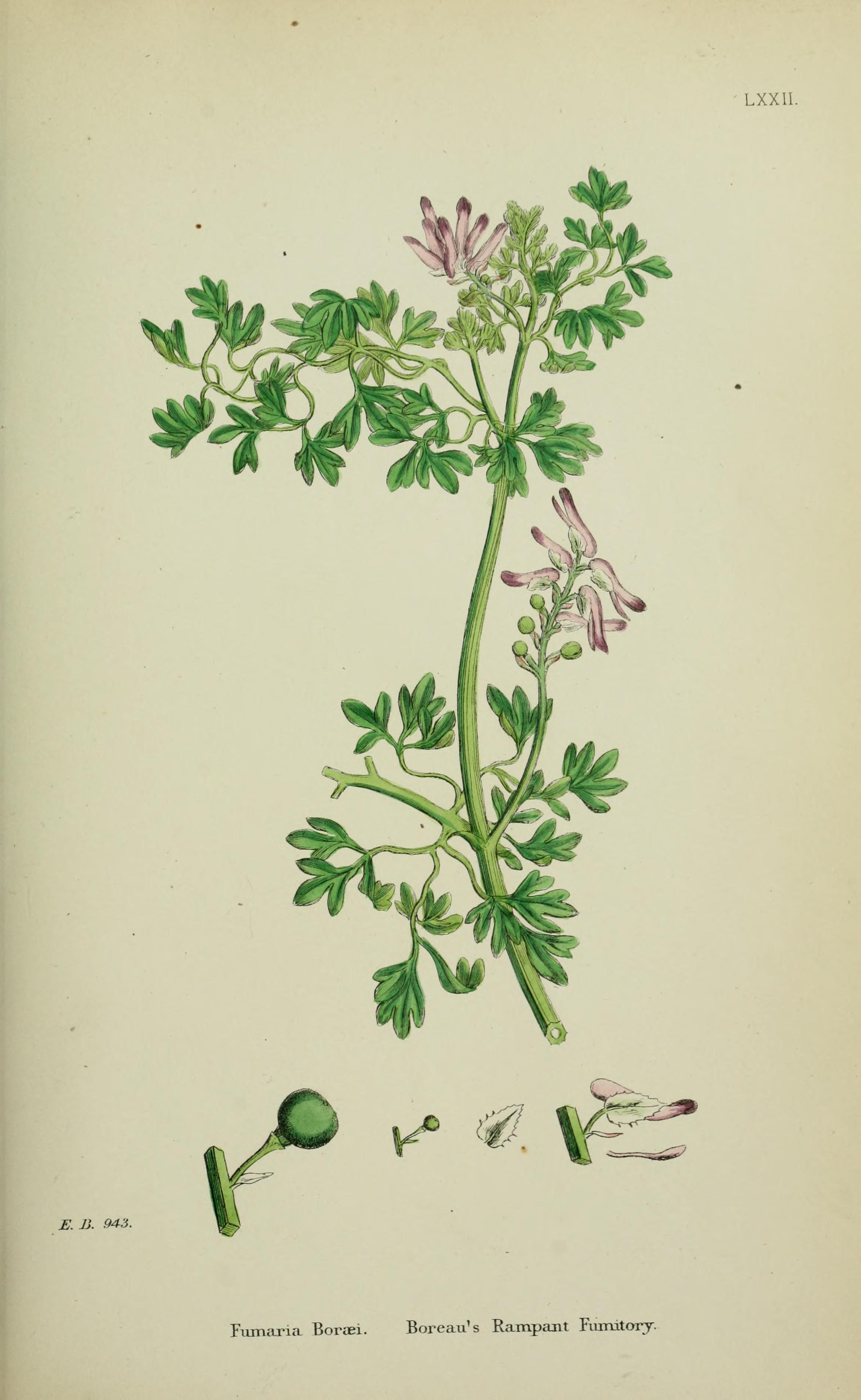 no full size  illustration available (3a)