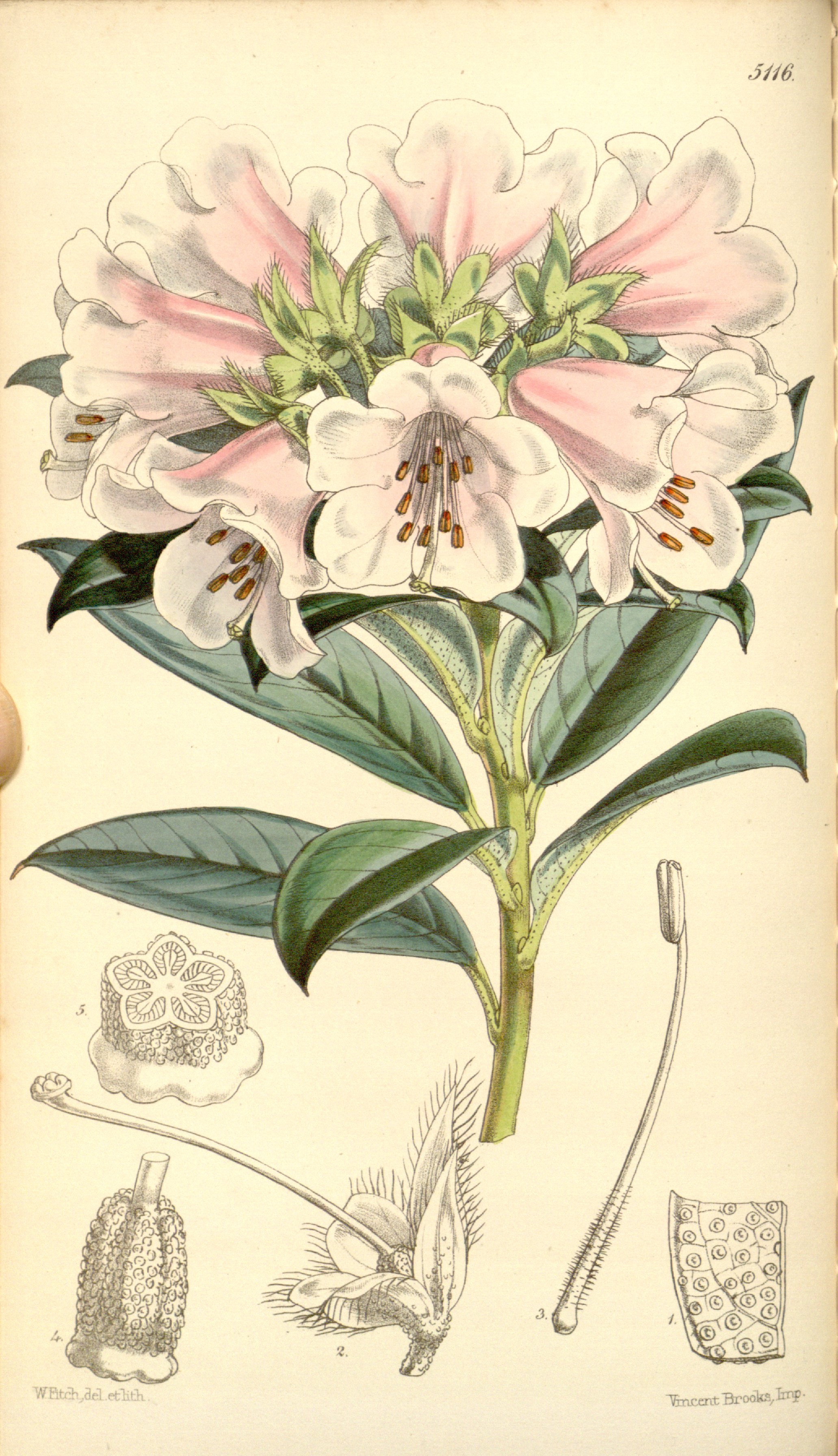 no full size  illustration available (3a)