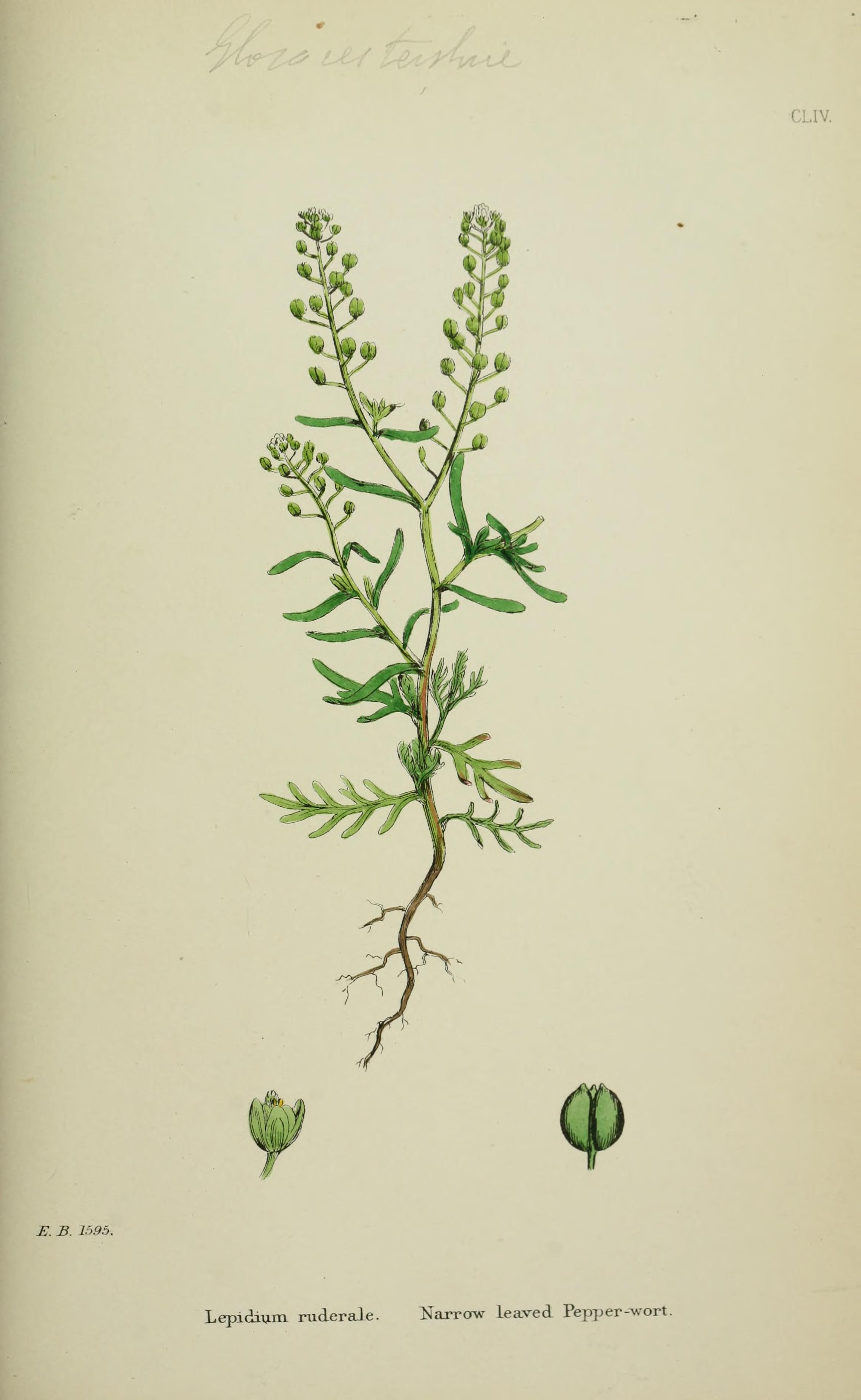 no full size  illustration available (3a)