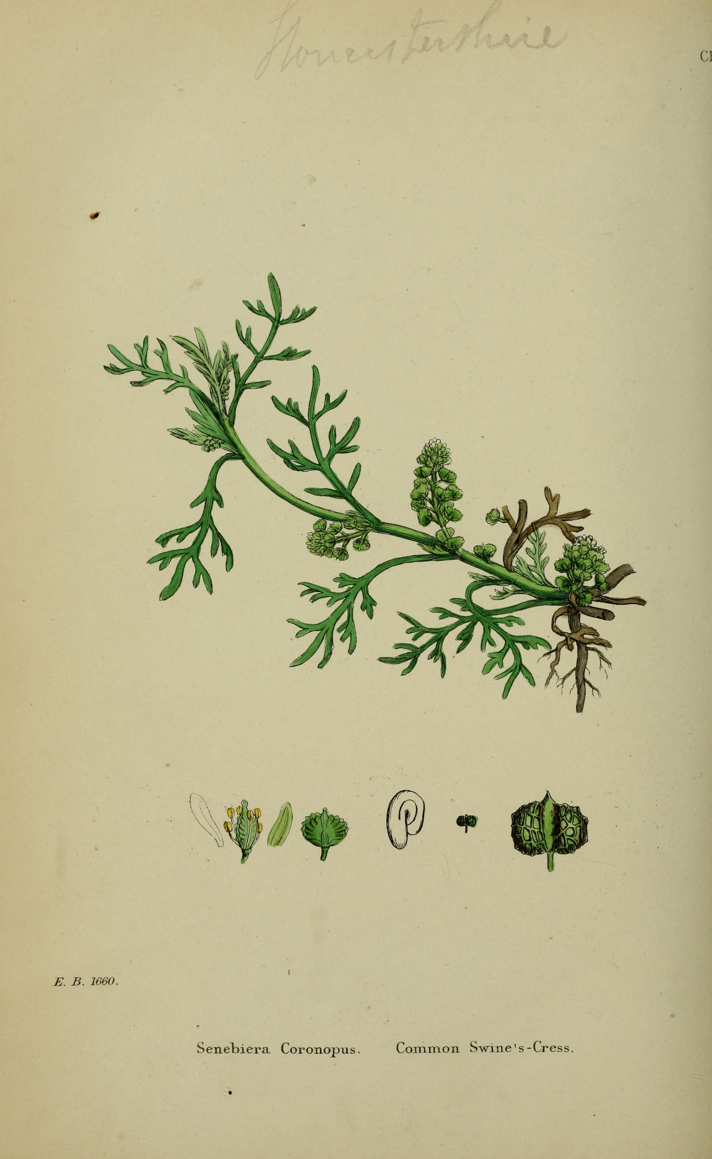 no full size  illustration available (3a)