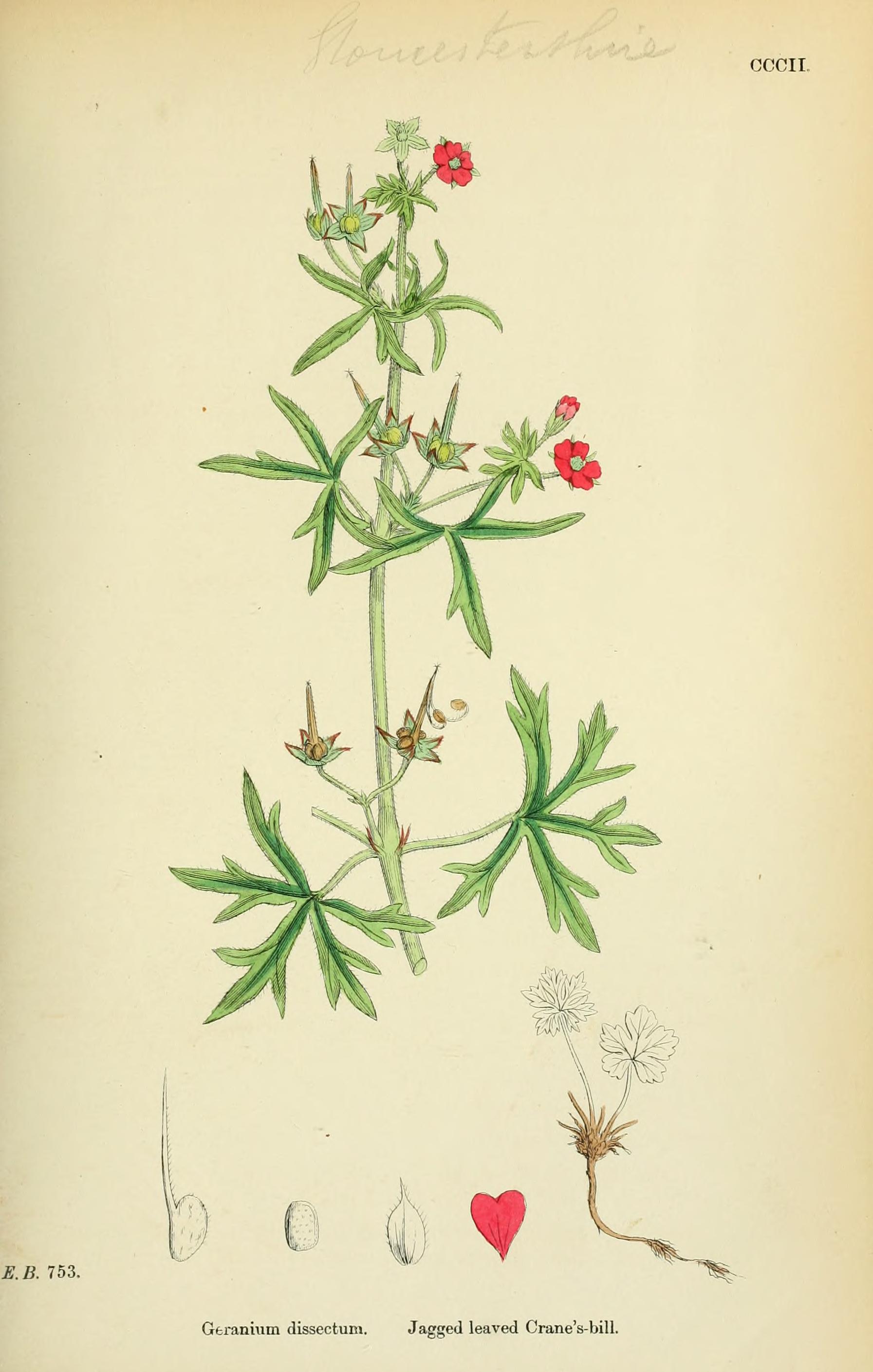 no full size  illustration available (3a)