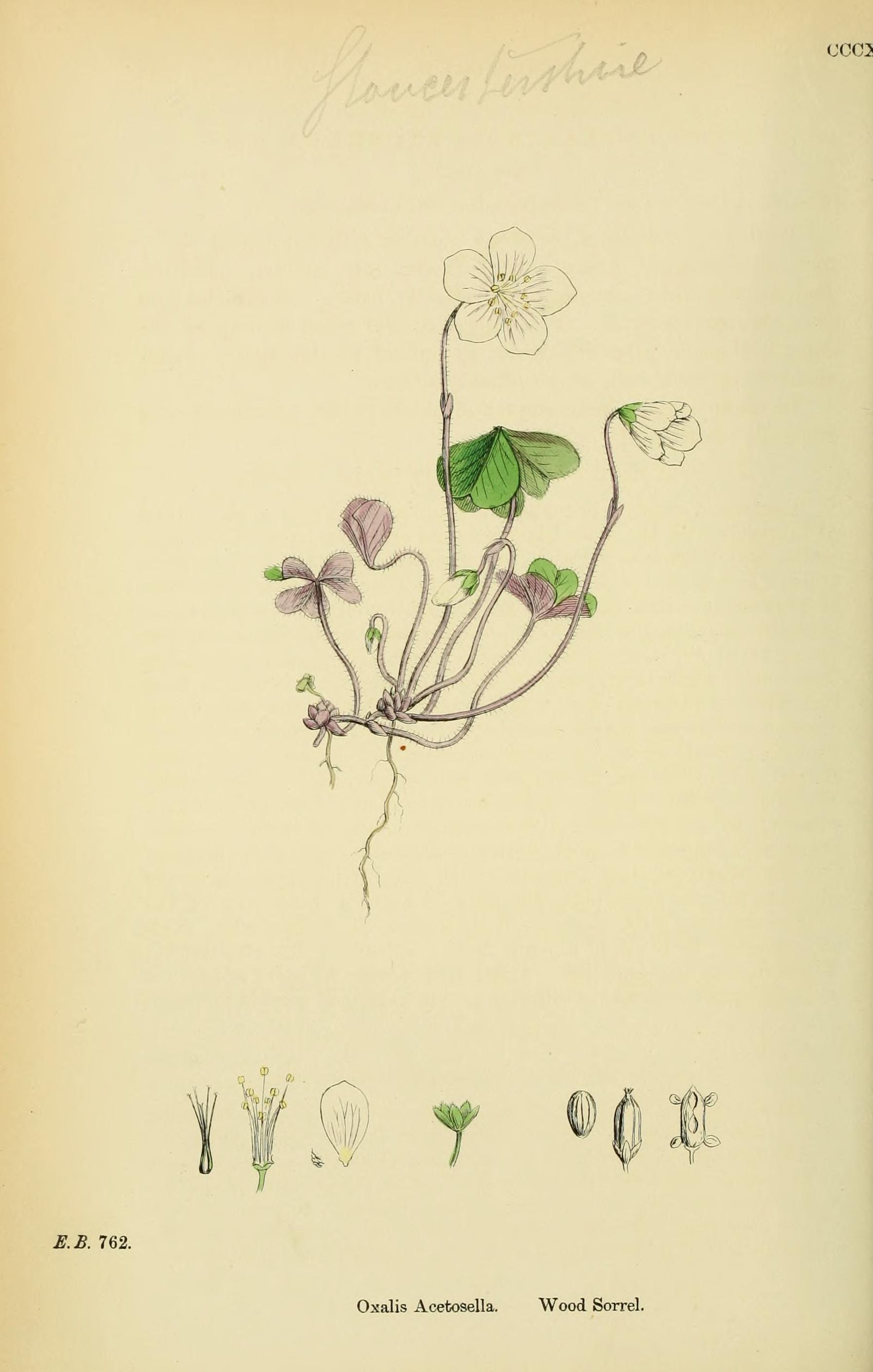 no full size  illustration available (3a)