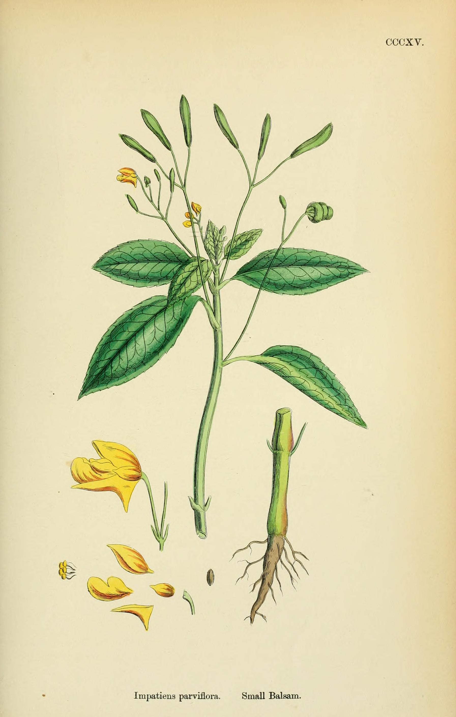 no full size  illustration available (3a)