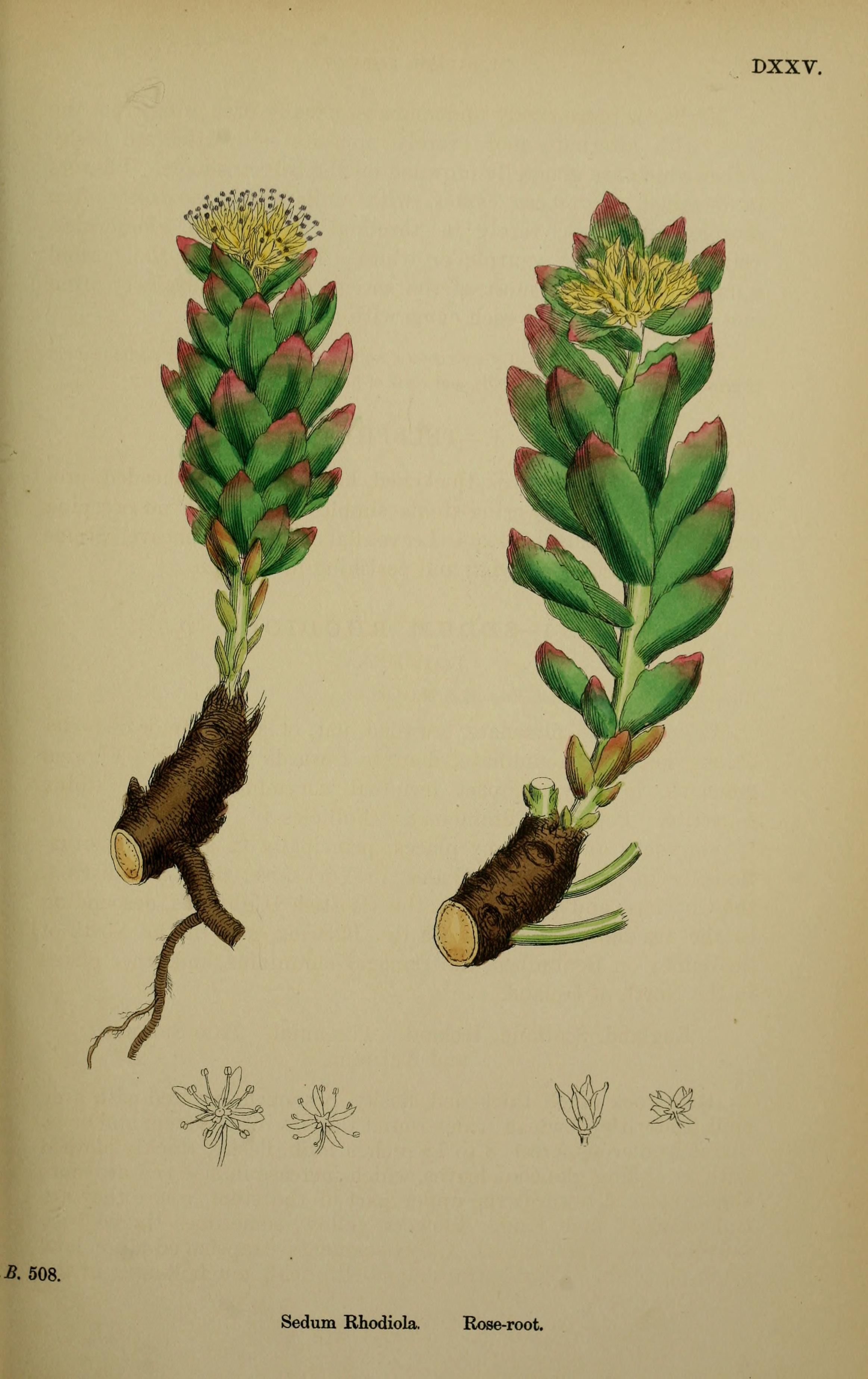 no full size  illustration available (3a)