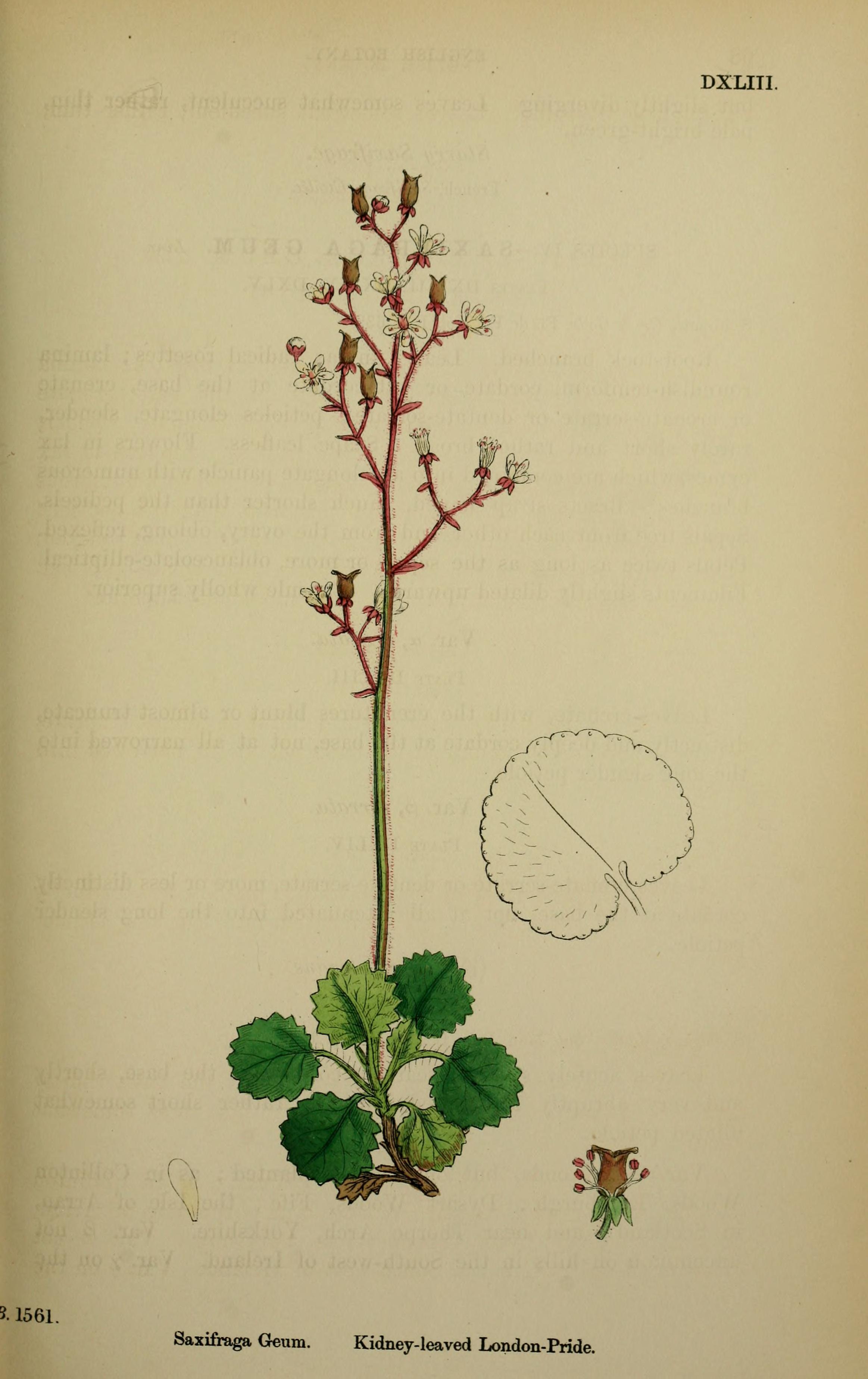 no full size  illustration available (3a)