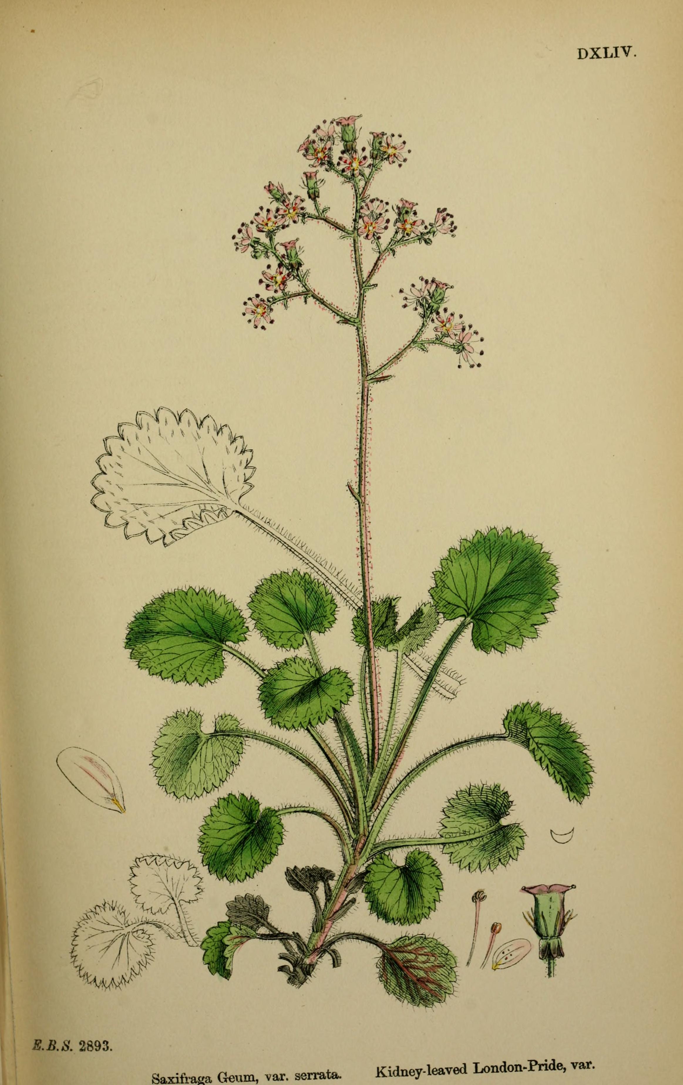 no full size  illustration available (3a)