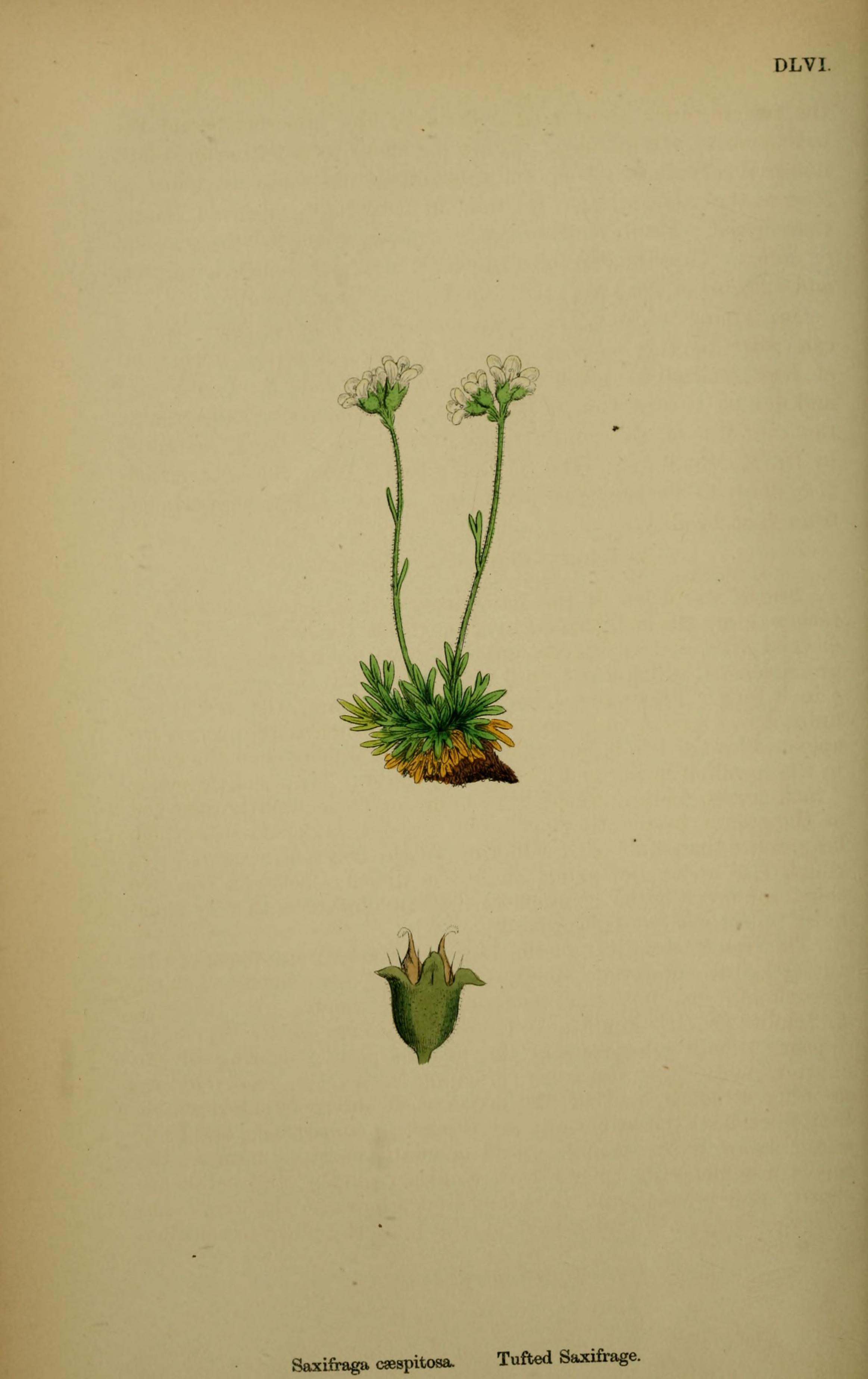 no full size  illustration available (3a)