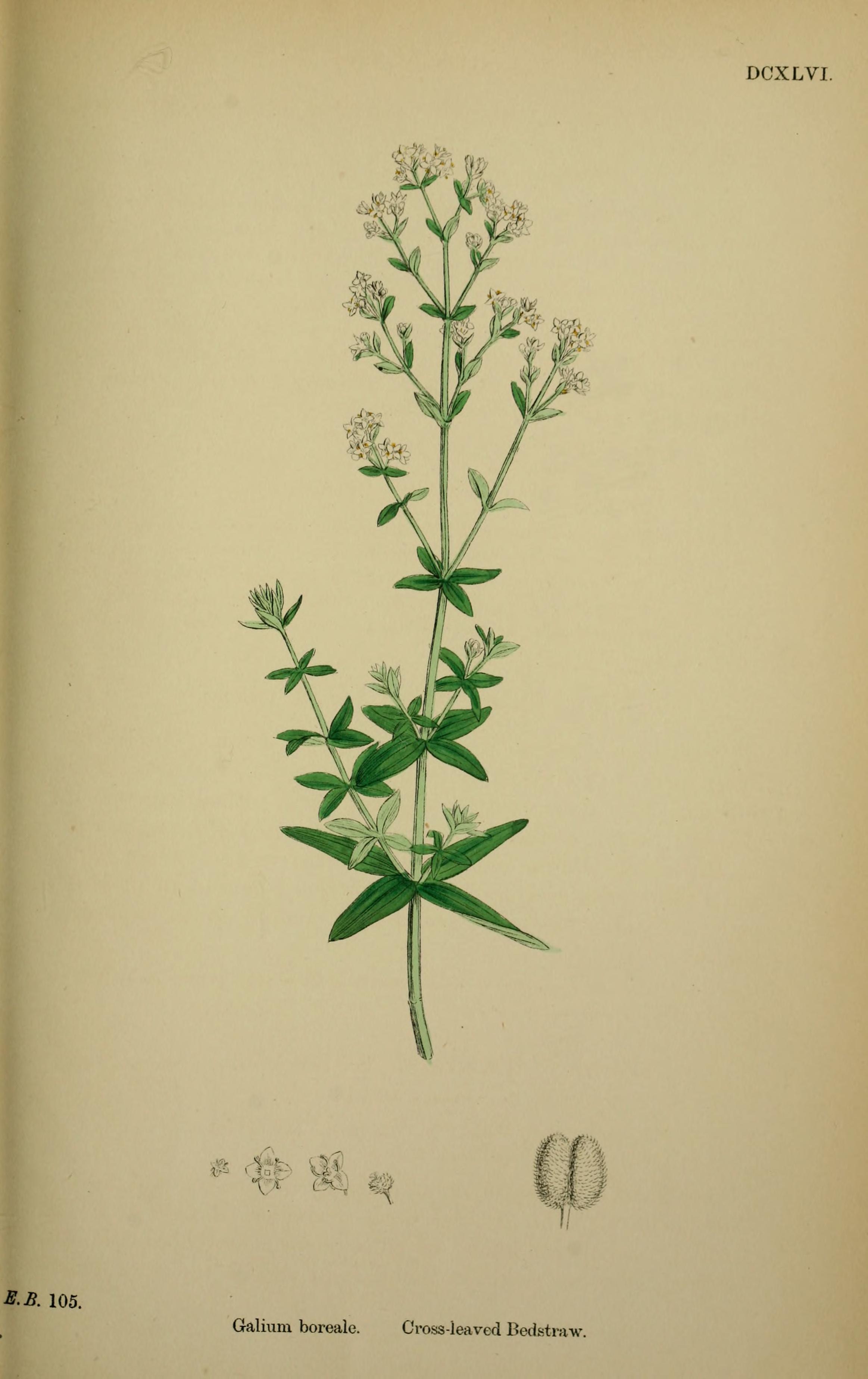 no full size  illustration available (3a)