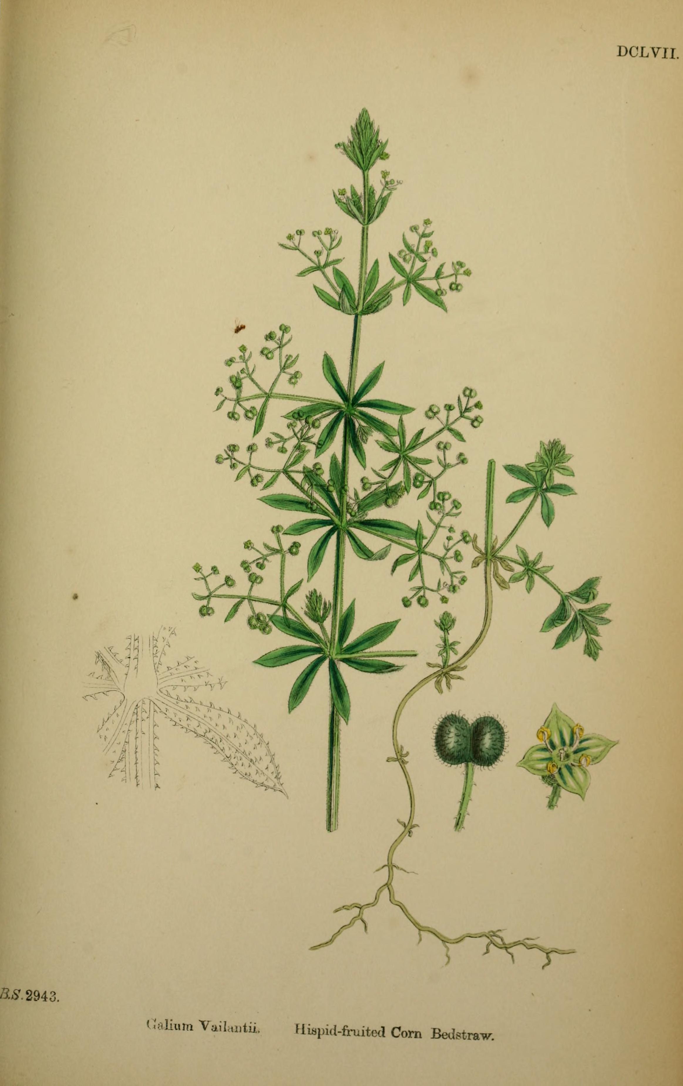 no full size  illustration available (3a)