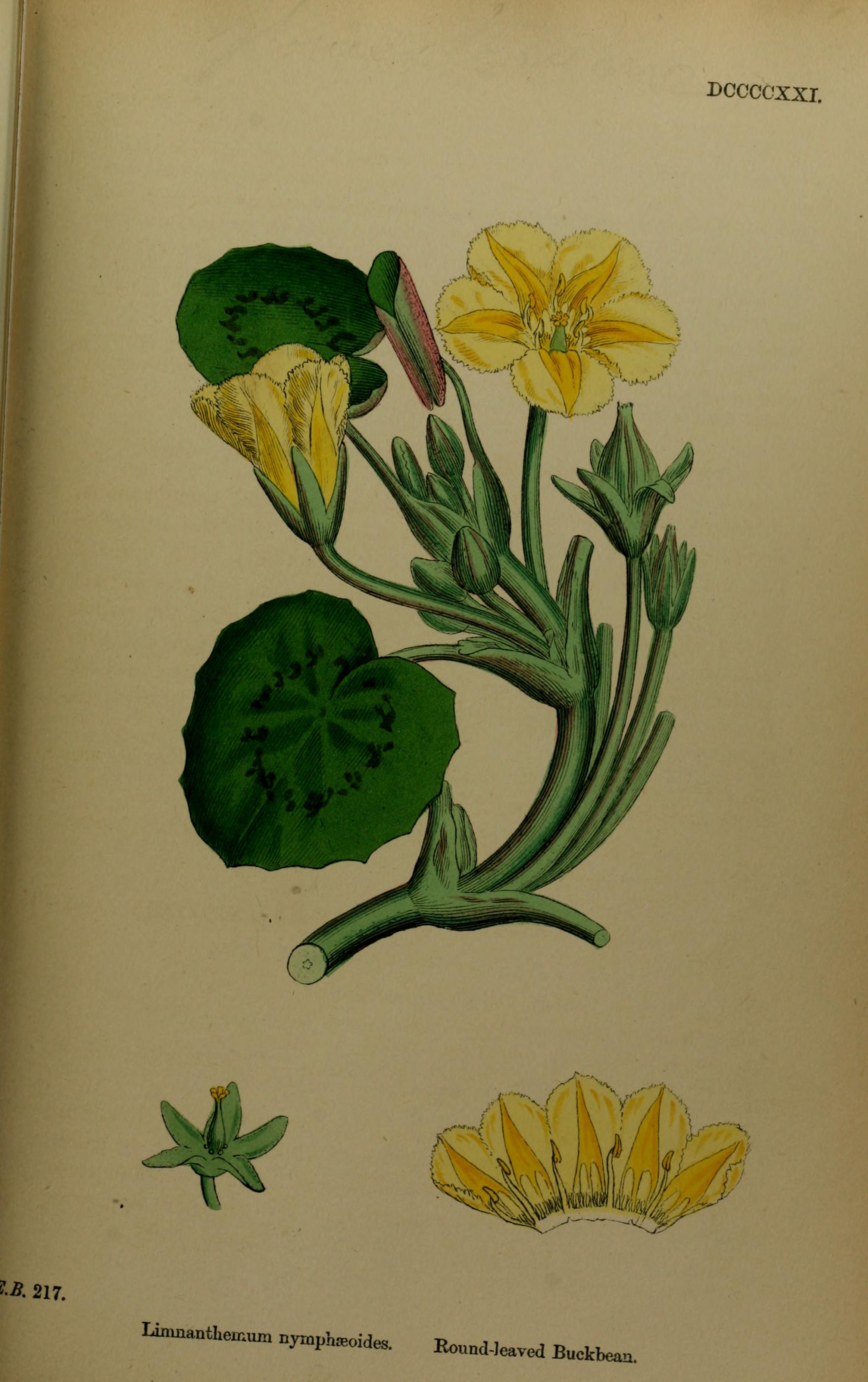 no full size  illustration available (3a)