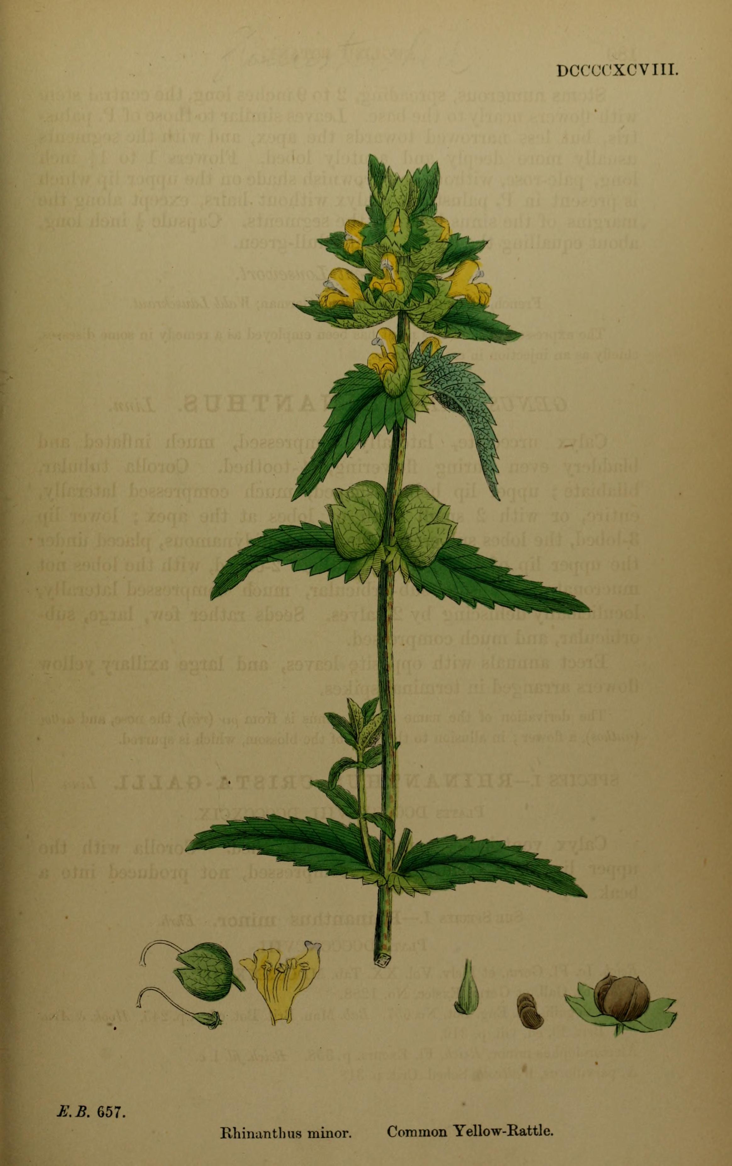 no full size  illustration available (3a)