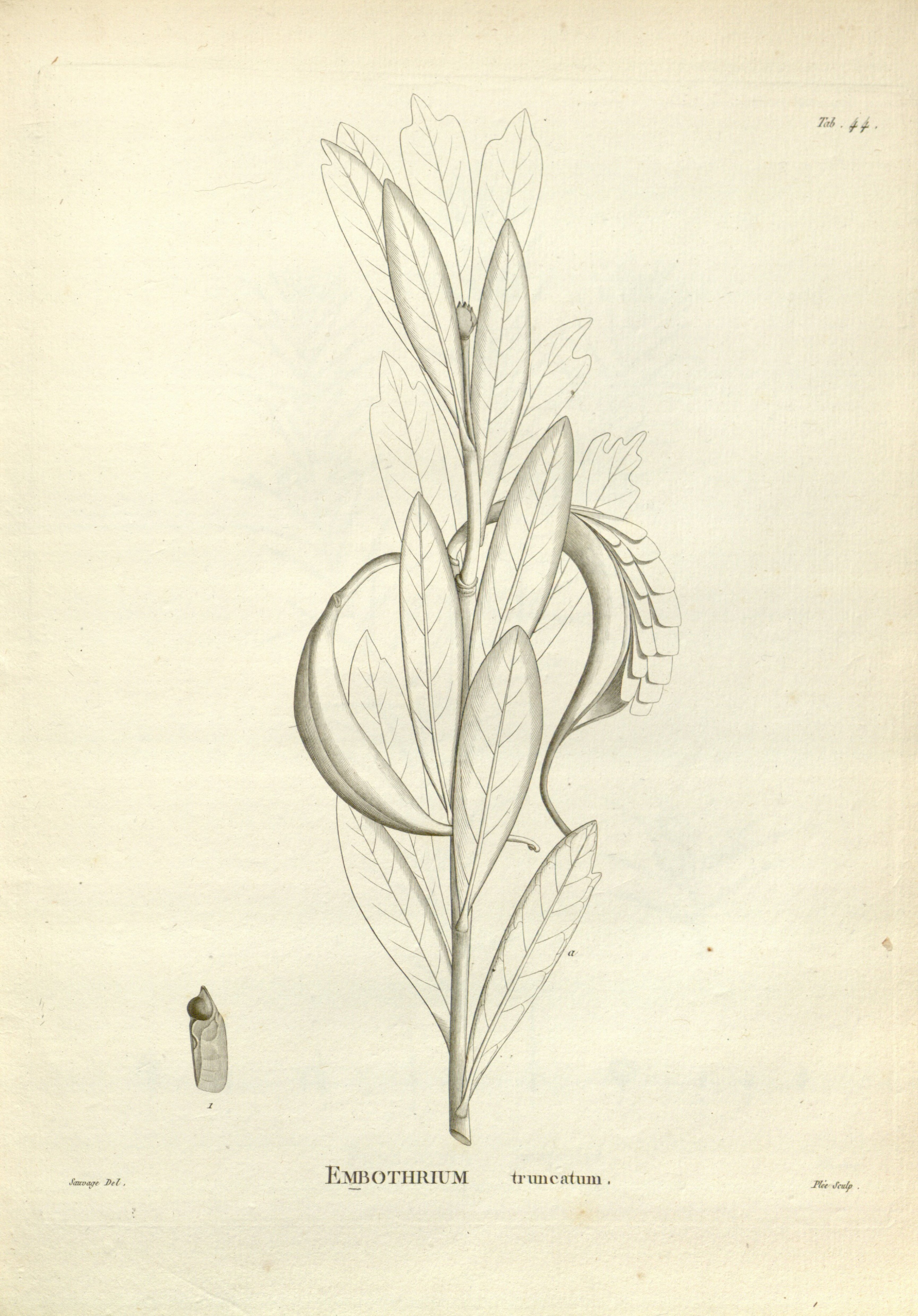 no full size  illustration available (3a)