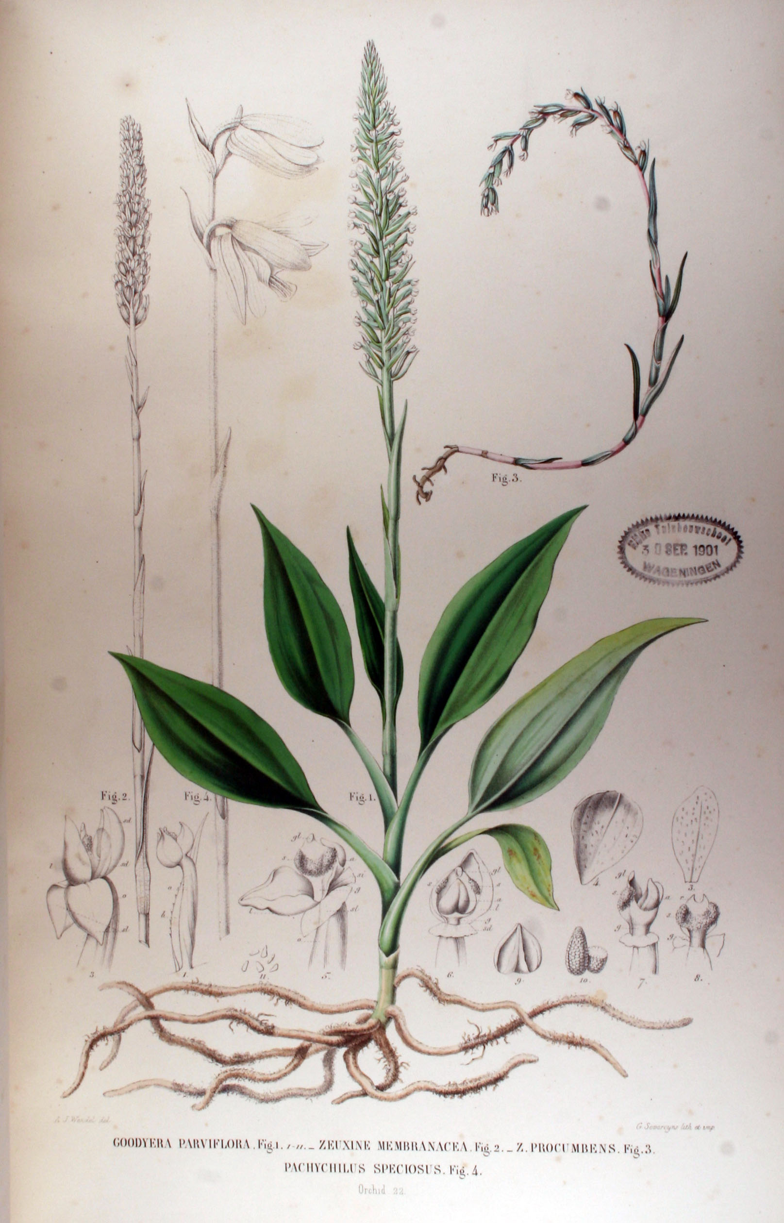 no full size  illustration available (3a)