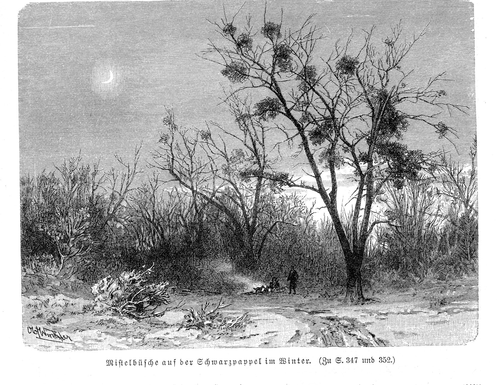 no full size  illustration available (3a)