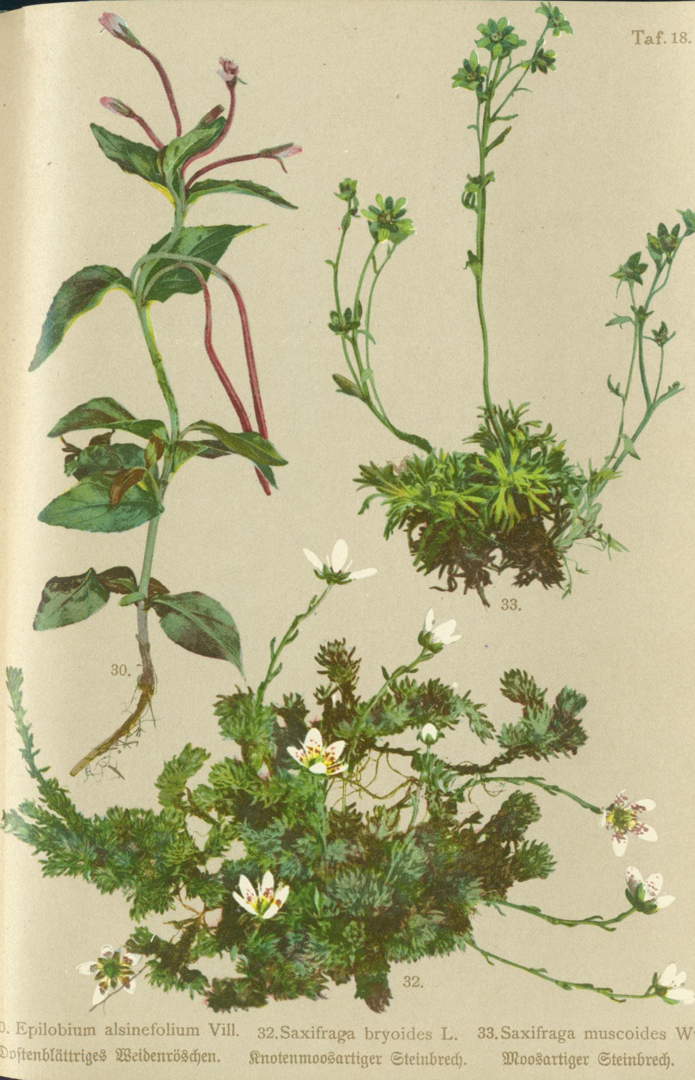 no full size  illustration available (3a)