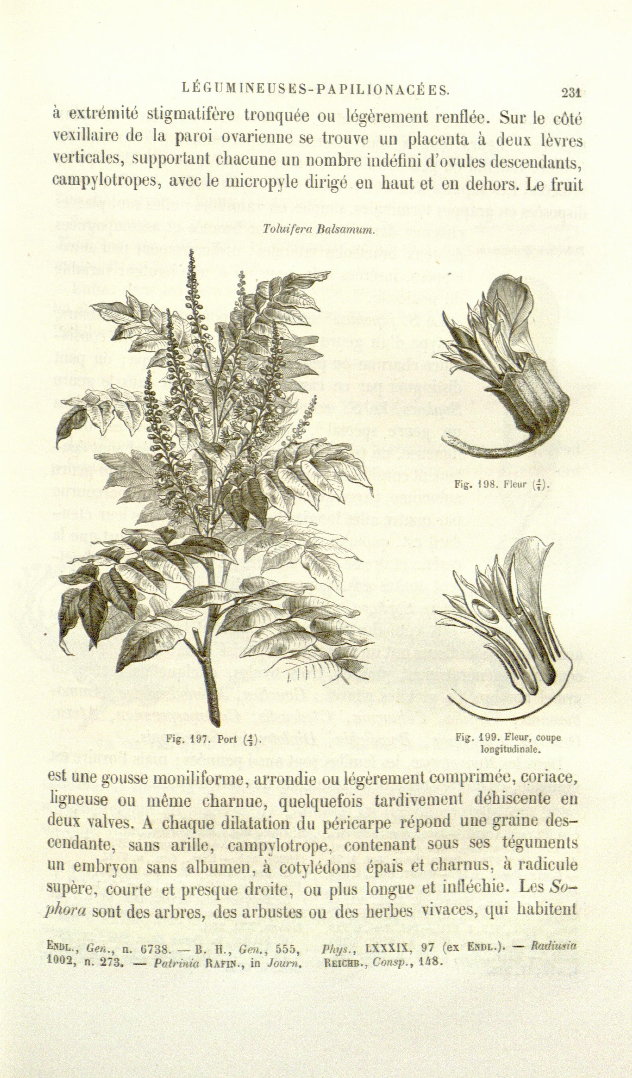 no full size  illustration available (3a)