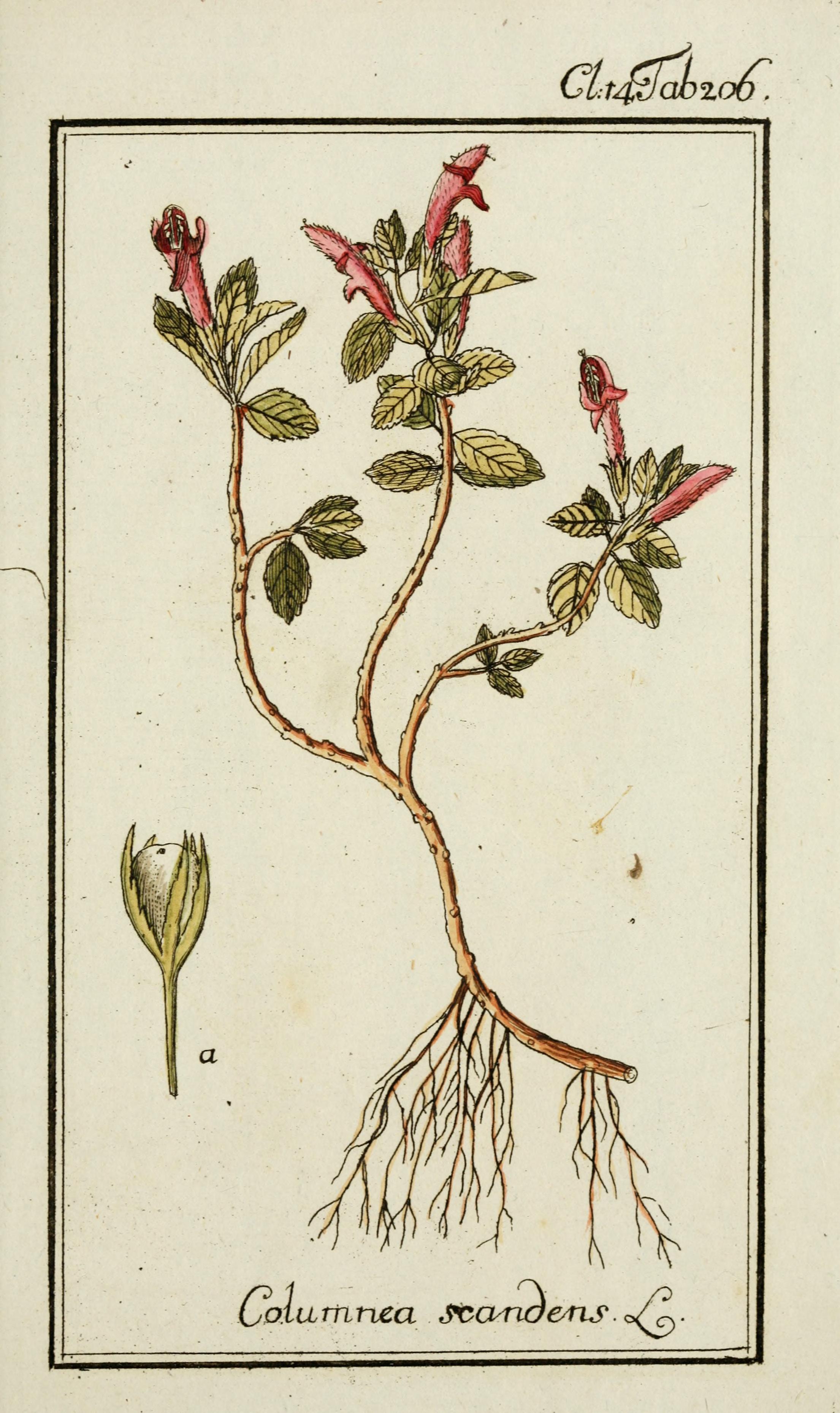 no full size  illustration available (3a)