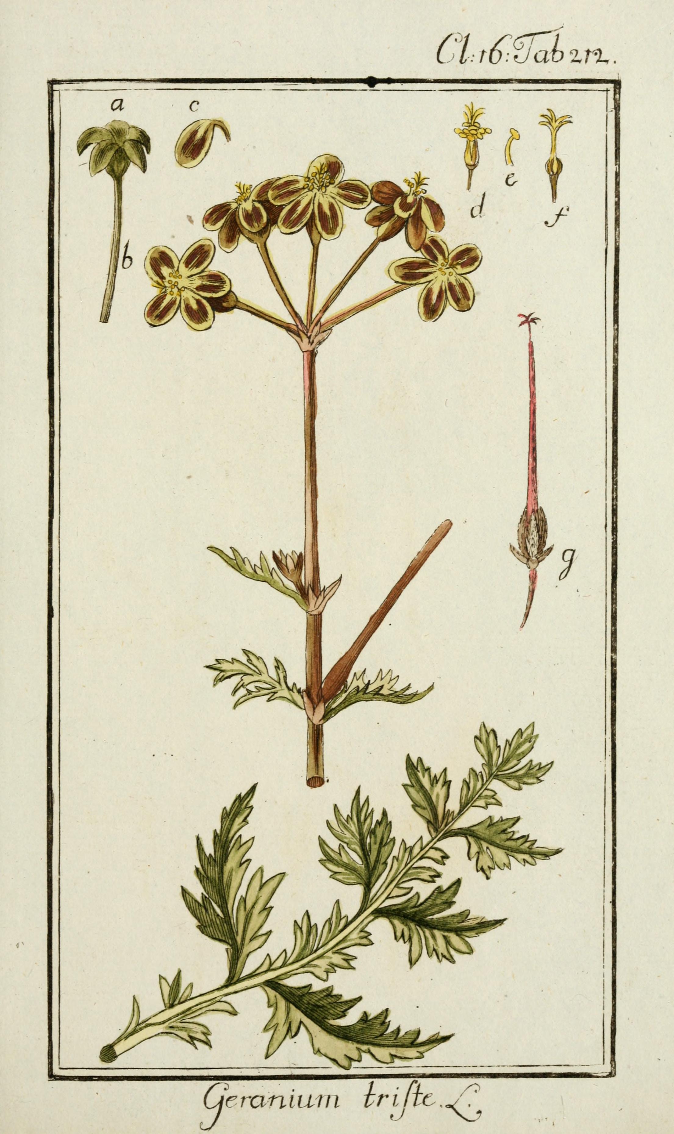 no full size  illustration available (3a)